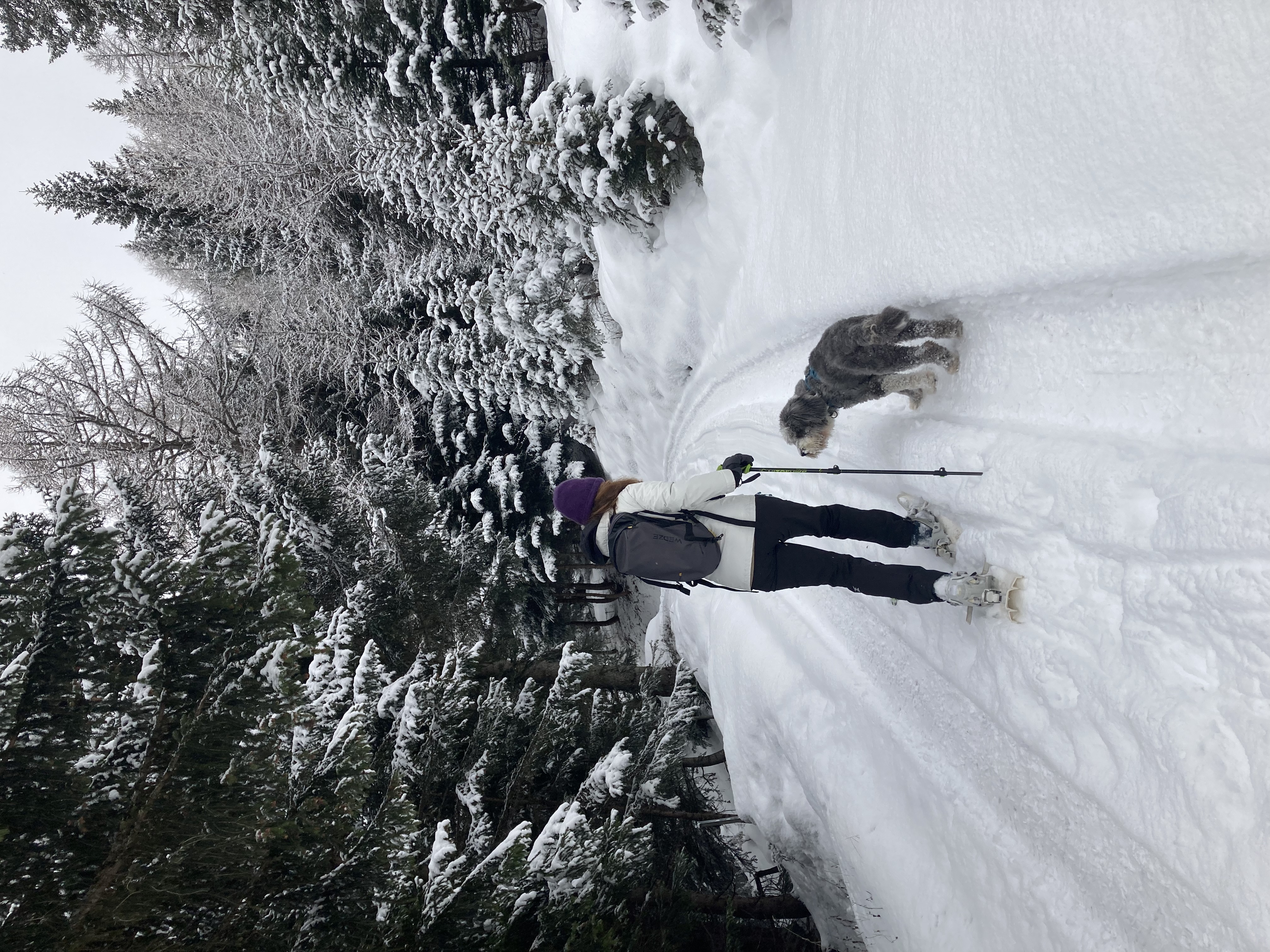 media_5NCRE6UZ6SVBX9NC