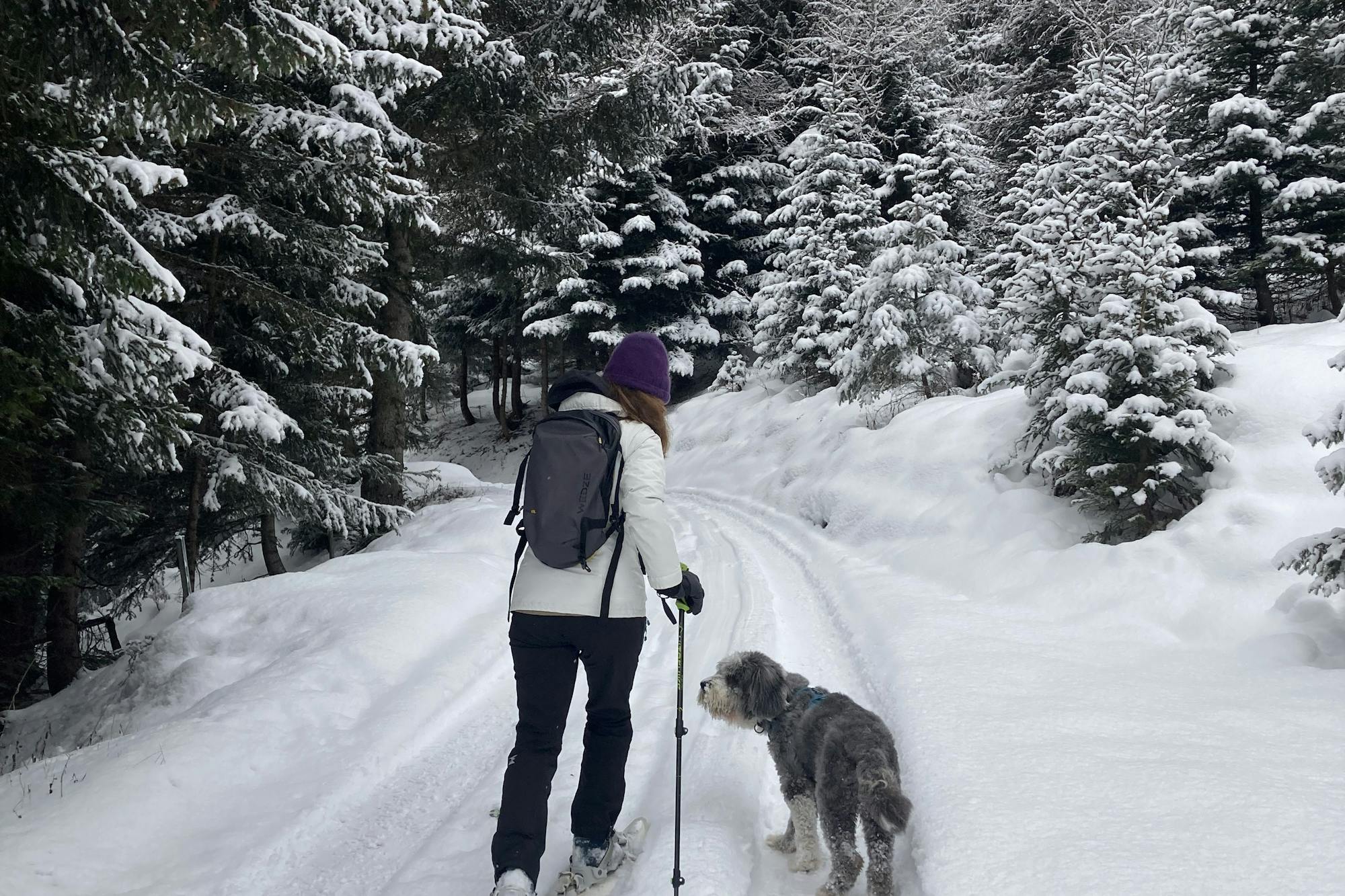 media_5NCRE6UZ6SVBX9NC