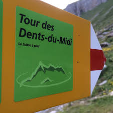 media_68PXK6NL67B9TG6Y