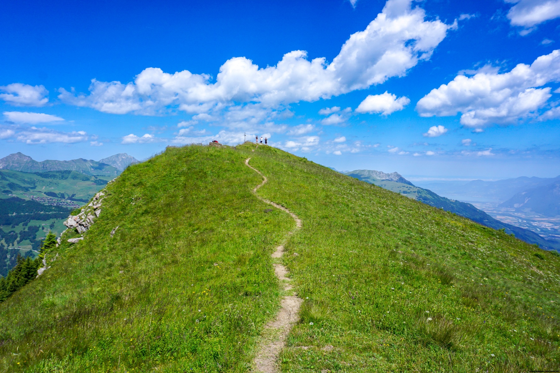 media_6EAG2LVLKDM2DDYL