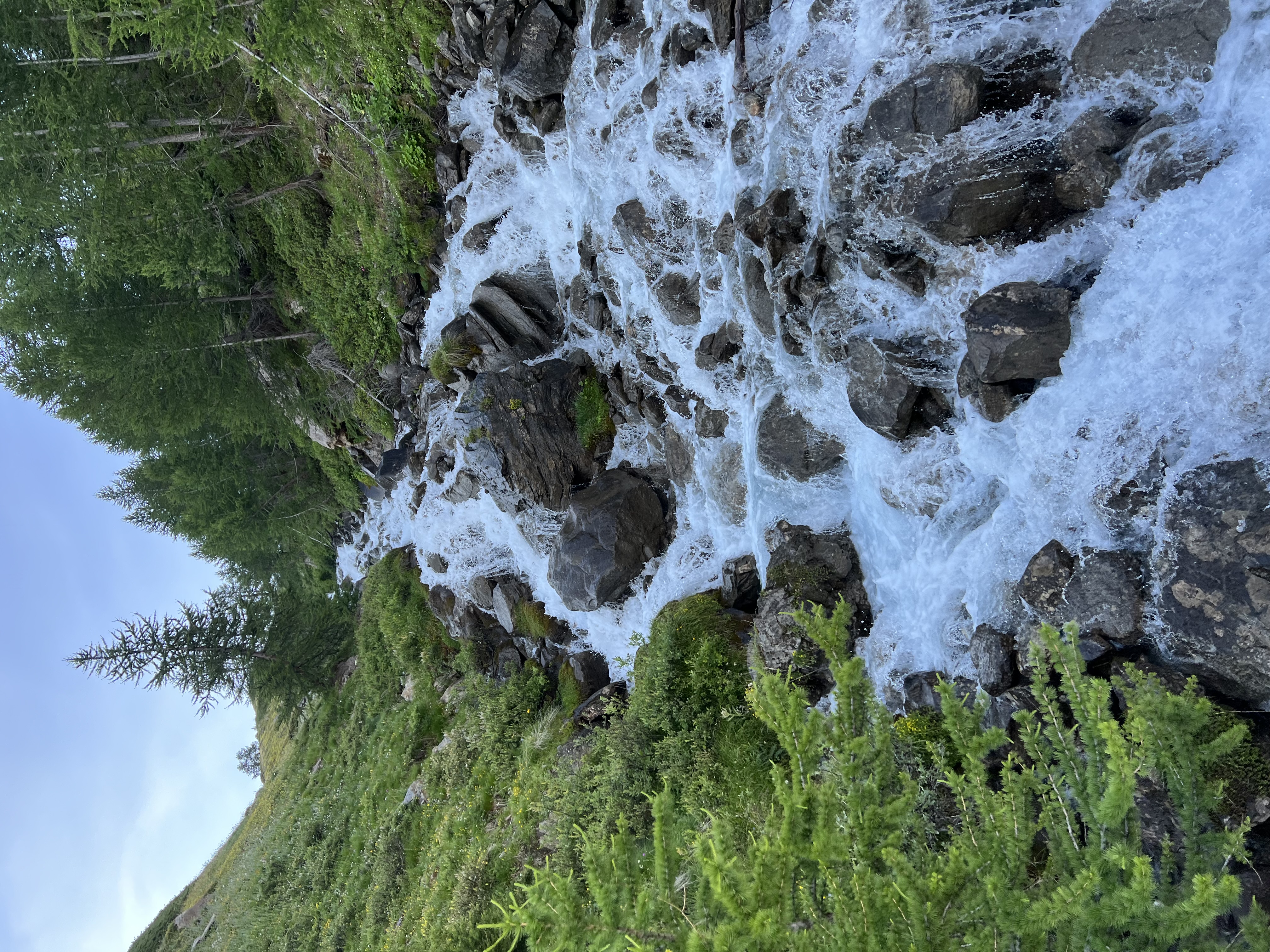 media_6RAN9NZ42WW7RMCP