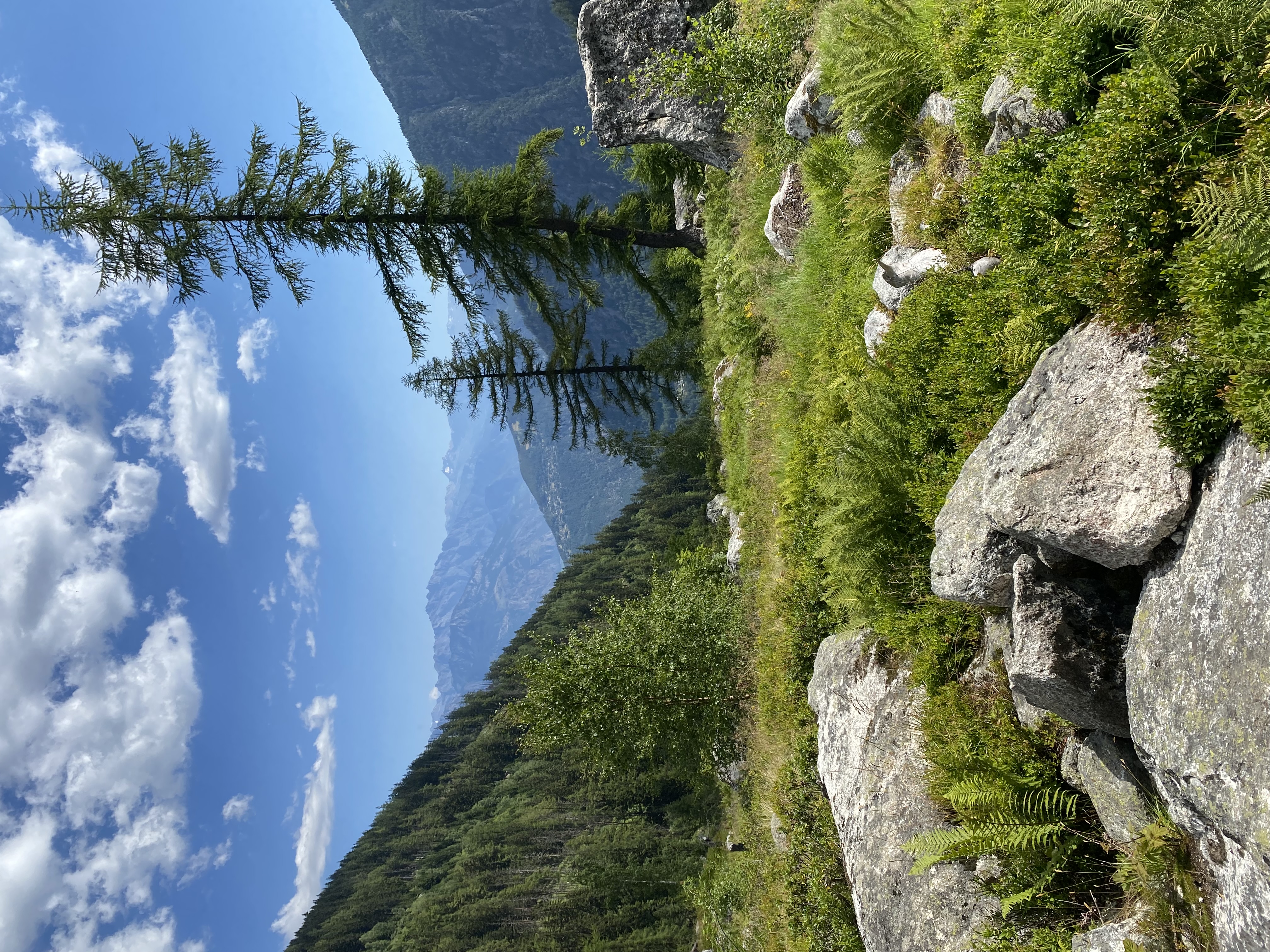 media_7BZQQWSAU4BZHU8G