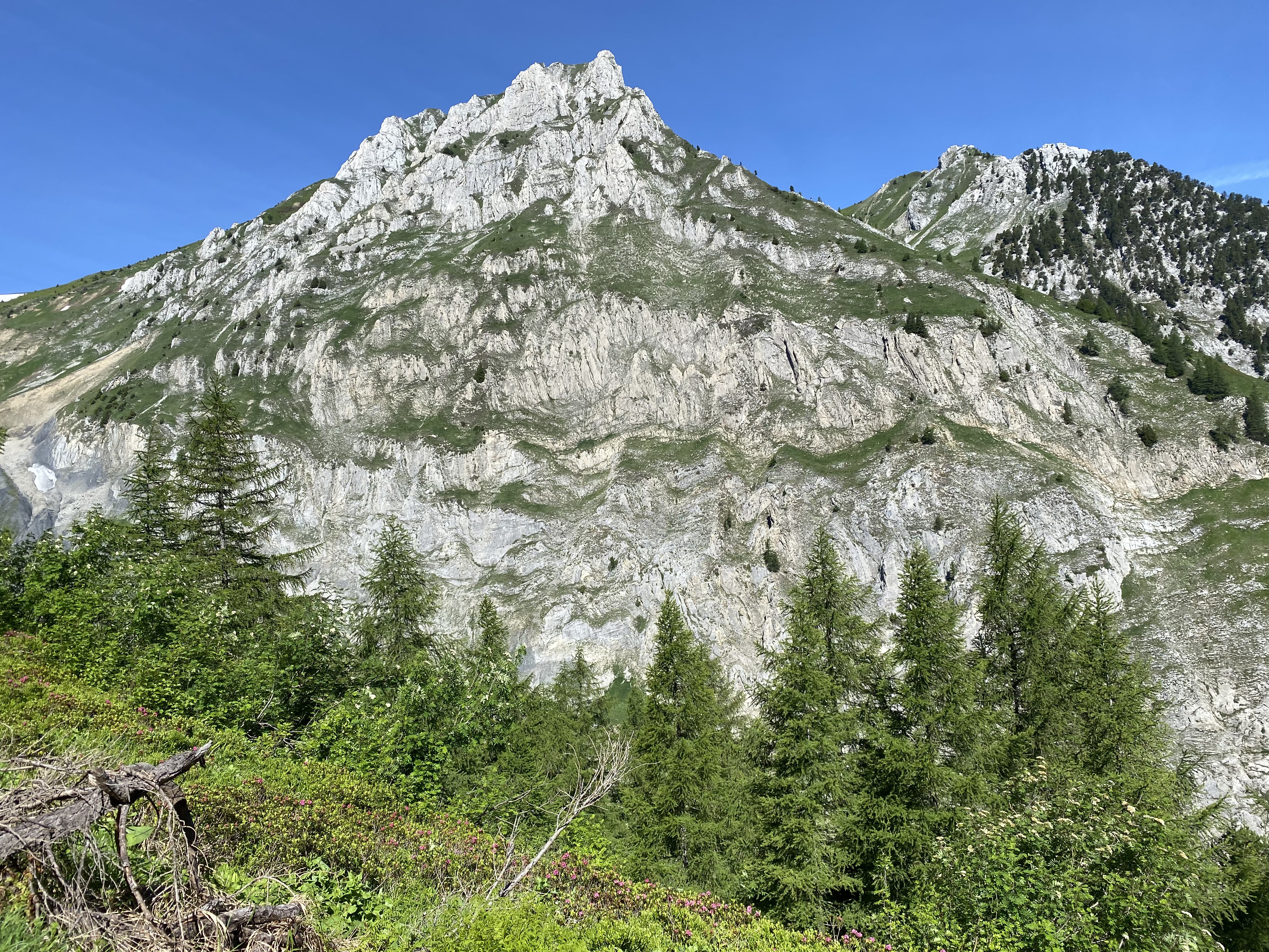 media_844KZLGC564W55YN