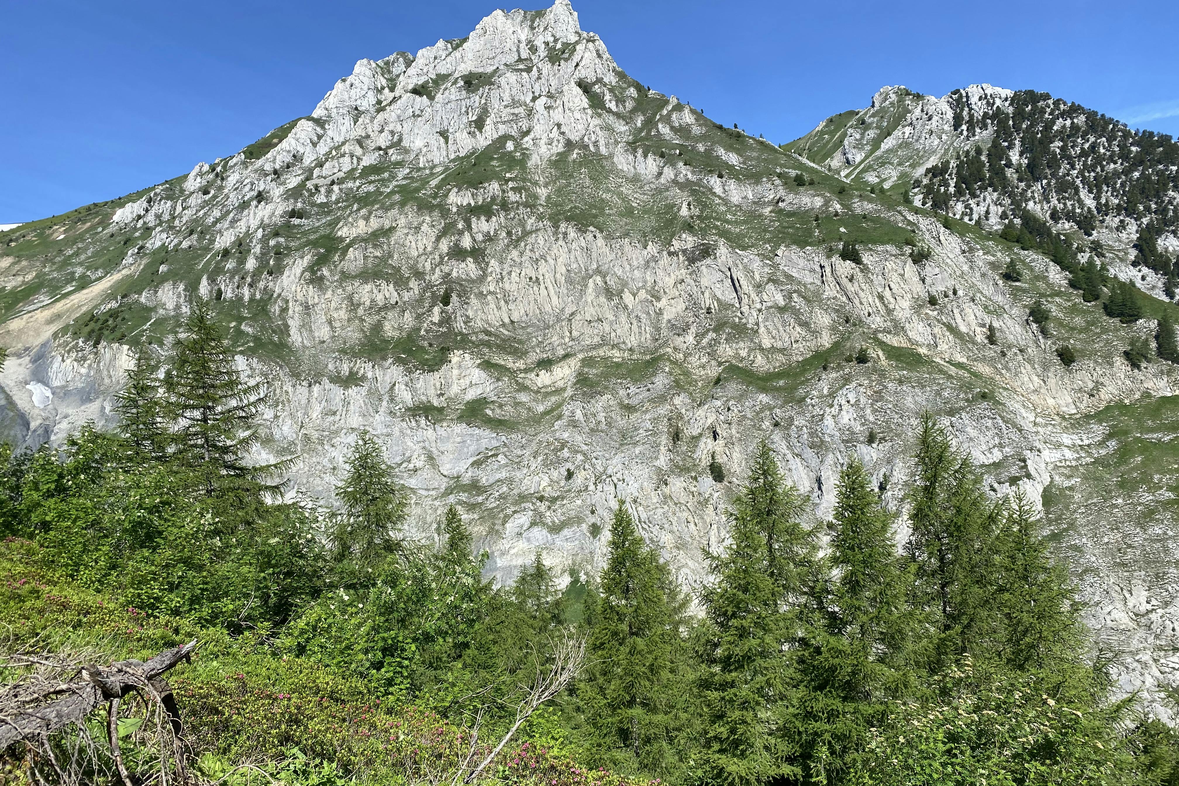 media_844KZLGC564W55YN