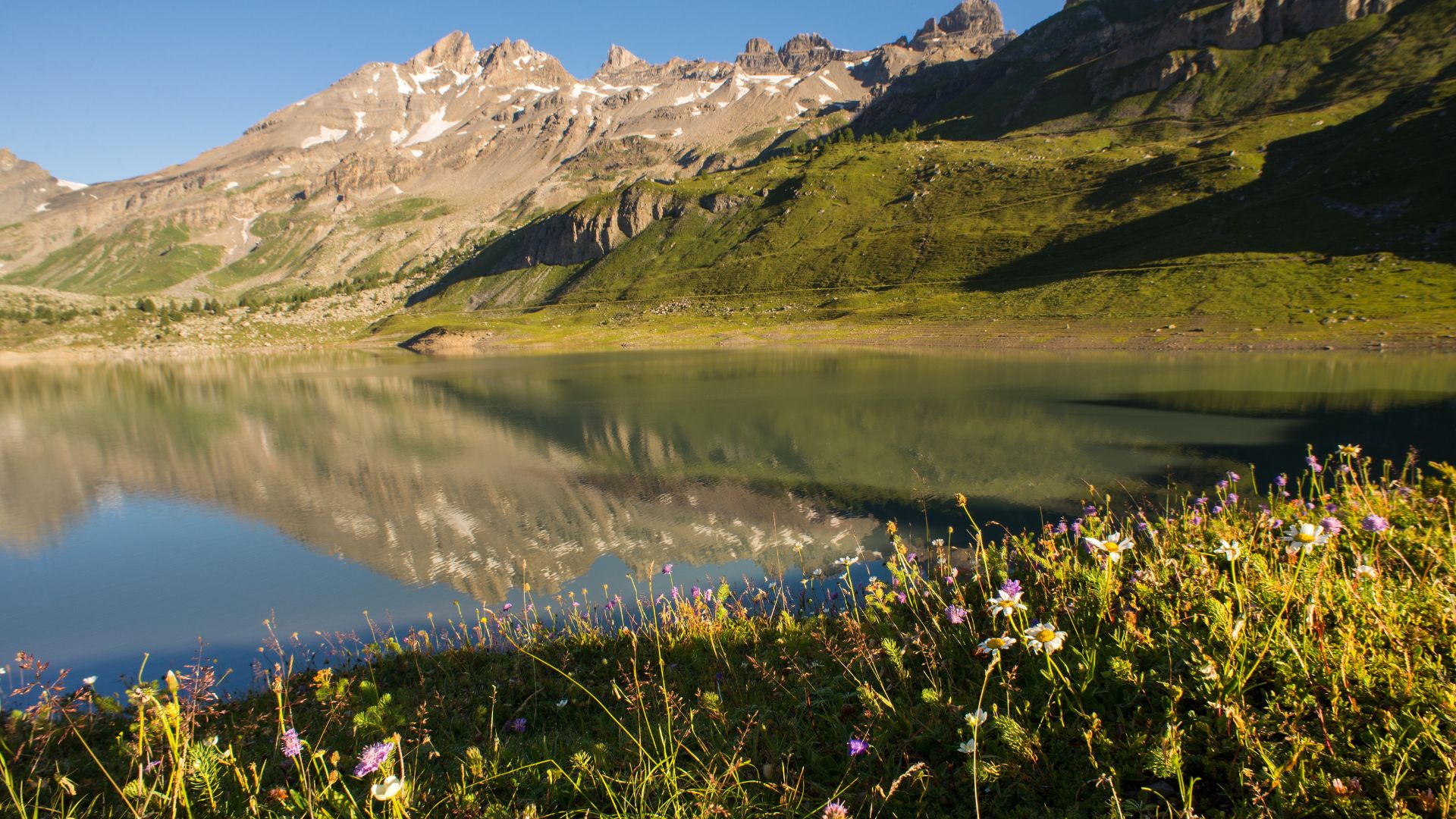 media_8FYVC6WC9BY2JBNT