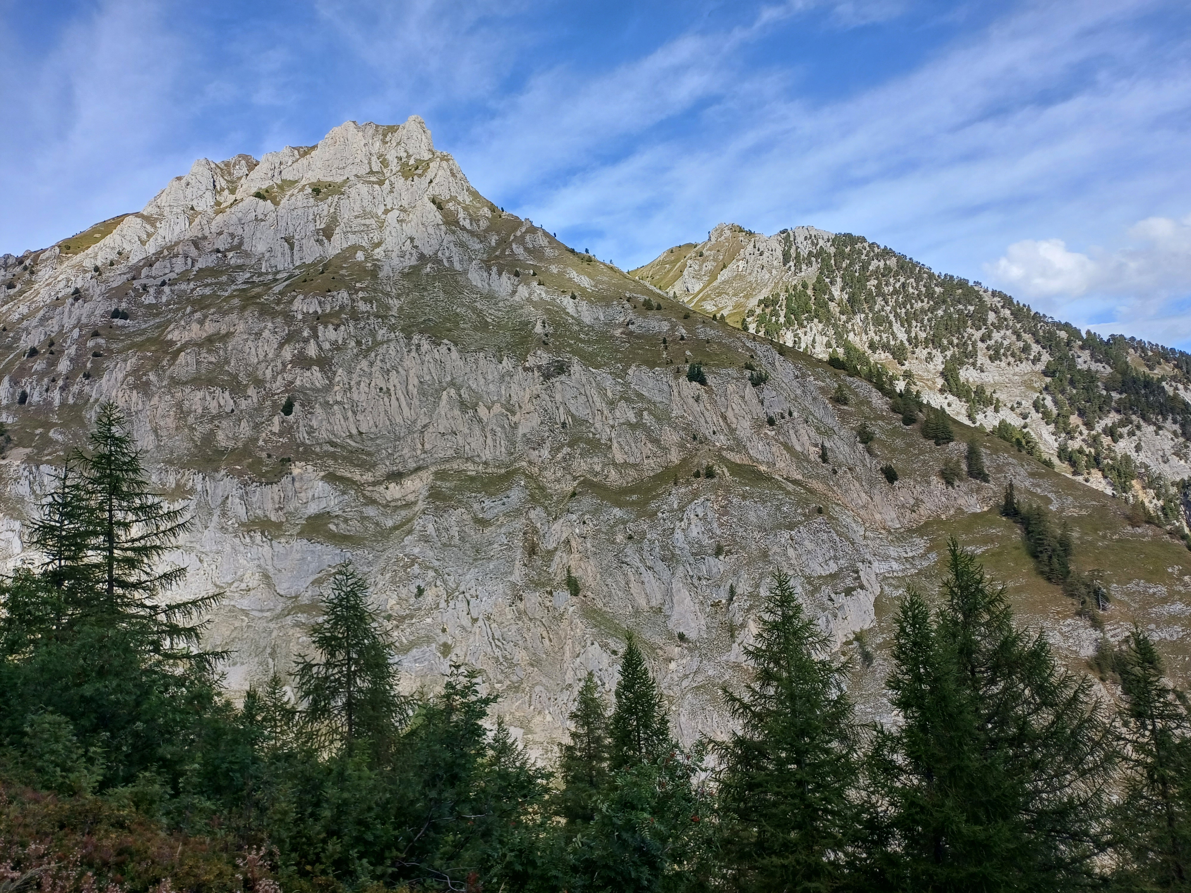 media_8XHLEFNYBS2V9P89