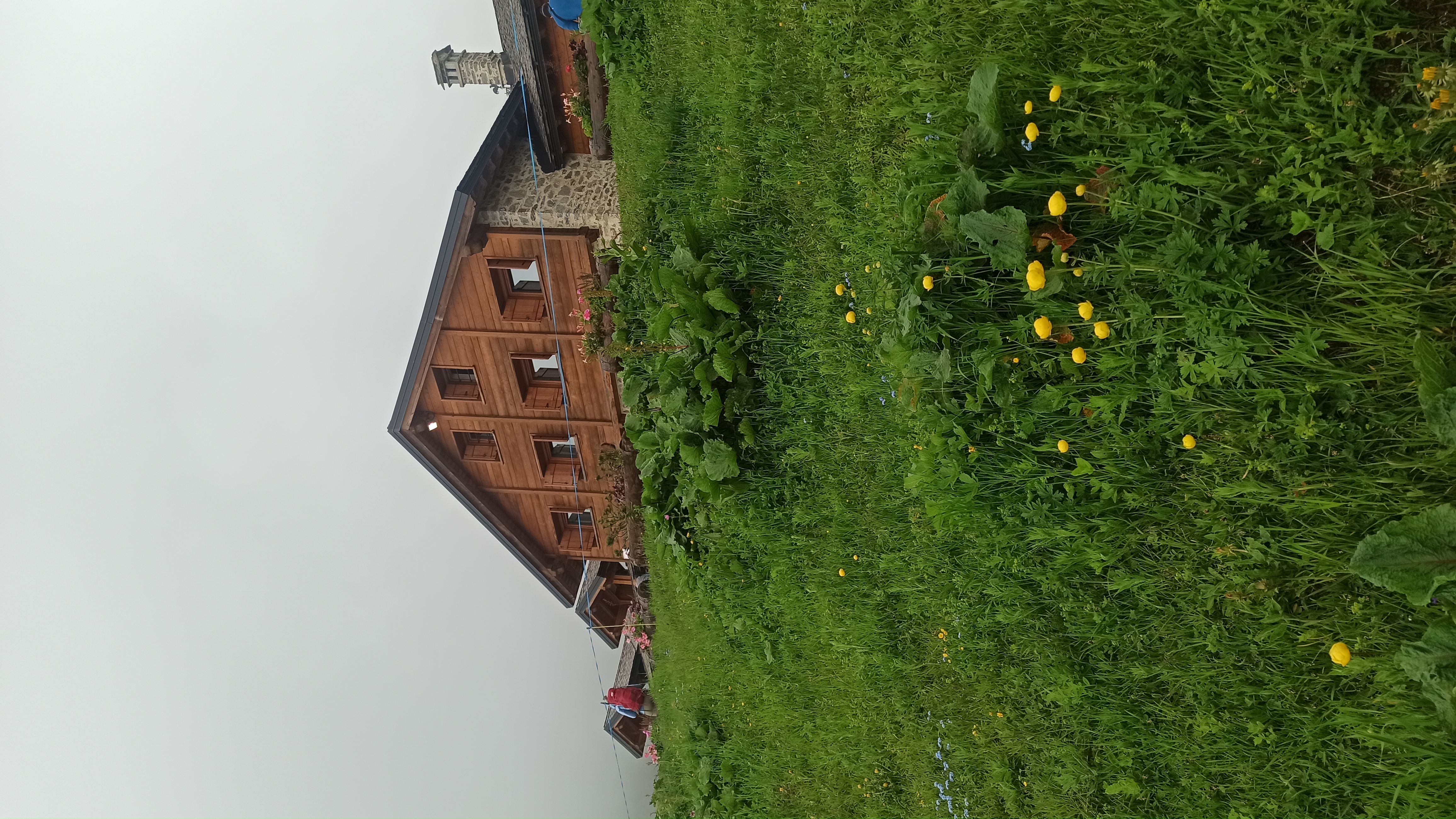 media_98MMYP866PHWCU3C