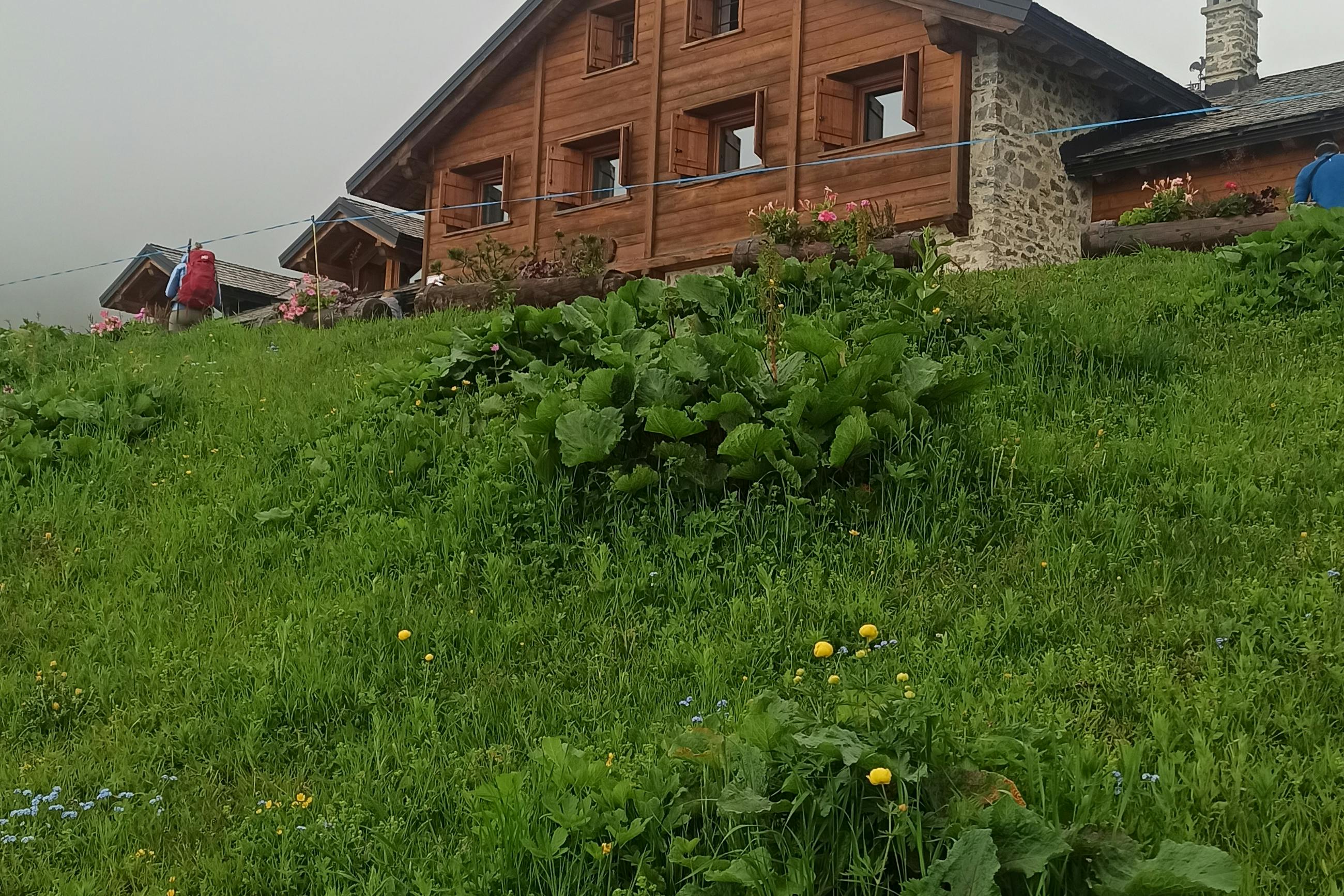 media_98MMYP866PHWCU3C