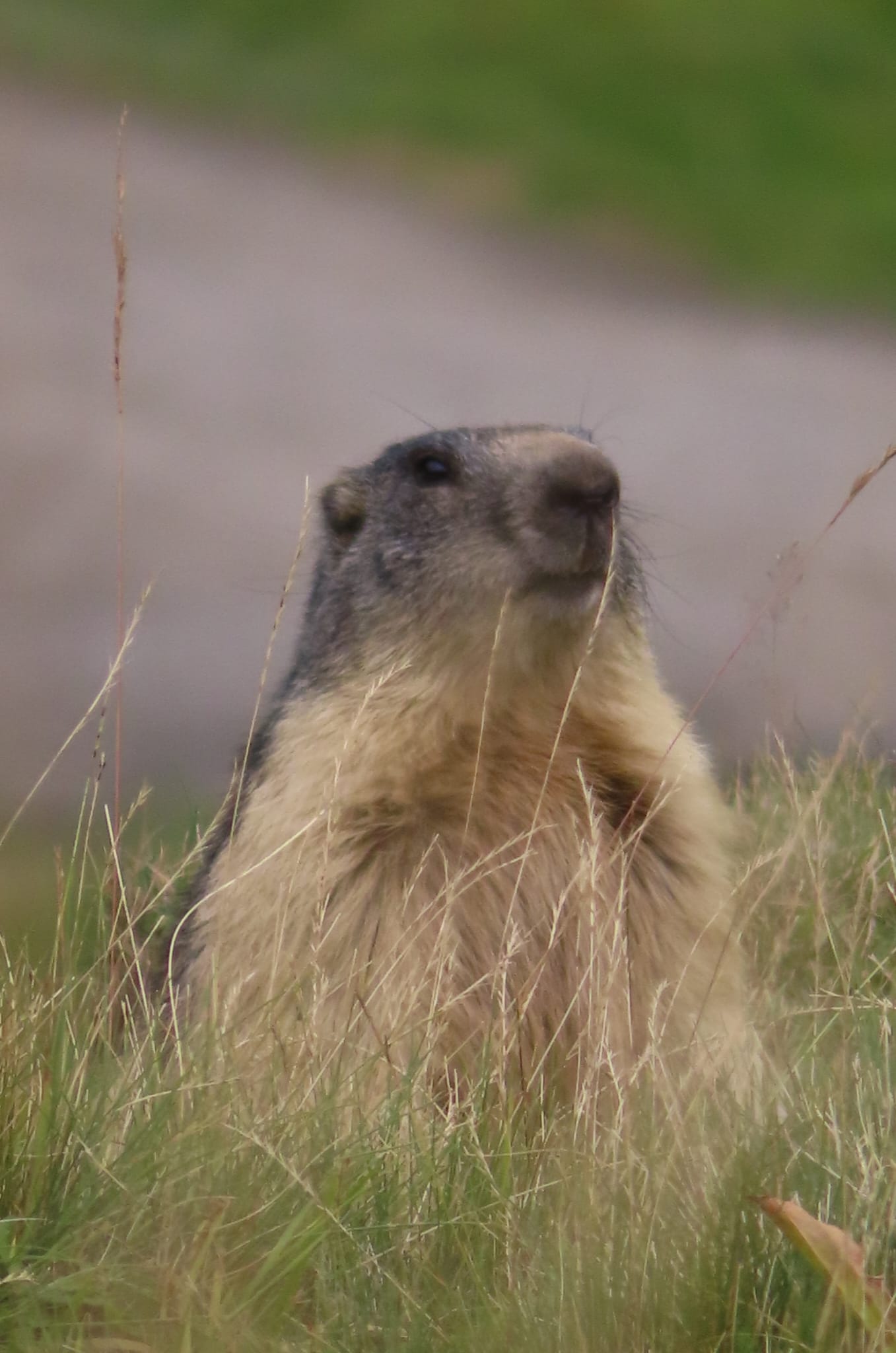 media_9XPG92WTRWDFLJ3X