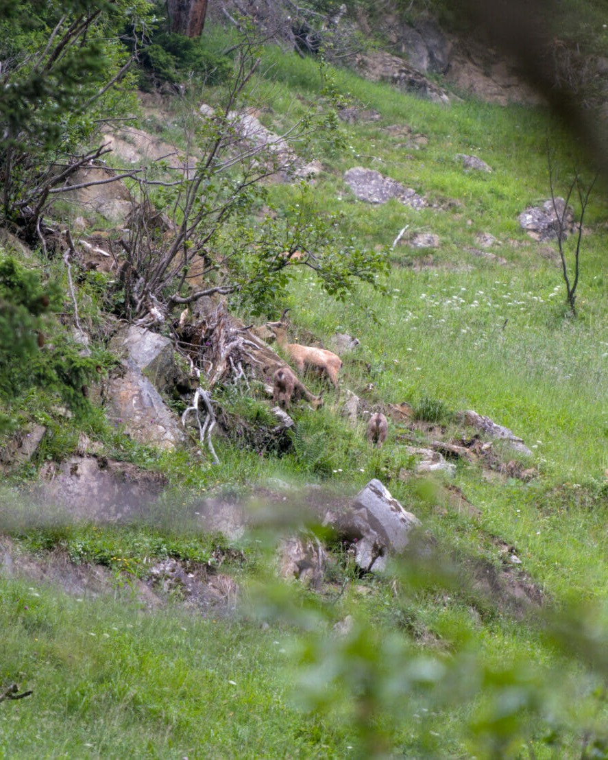 media_APKNLKE5SQH9NXKF