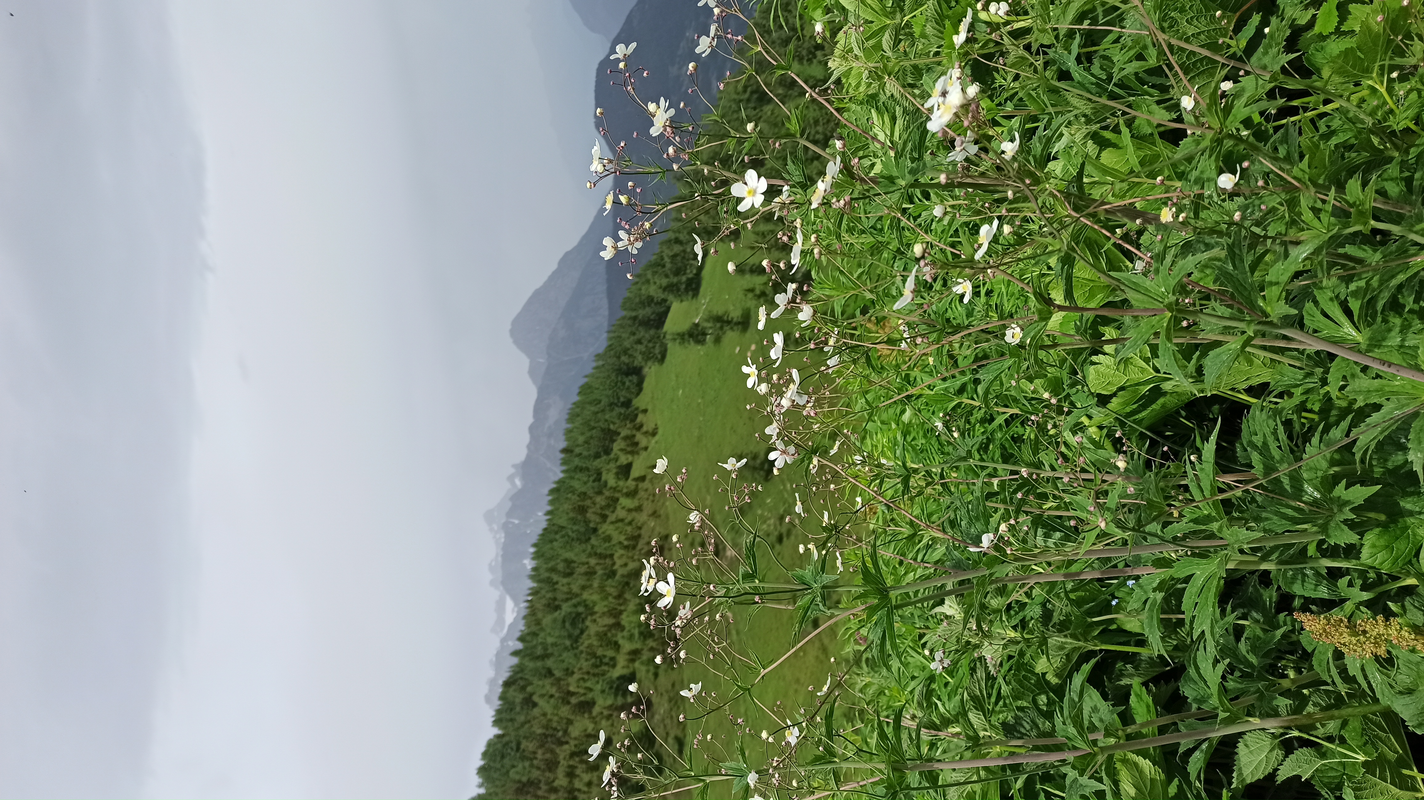 media_B9F6Z5E6HNW3PKJY