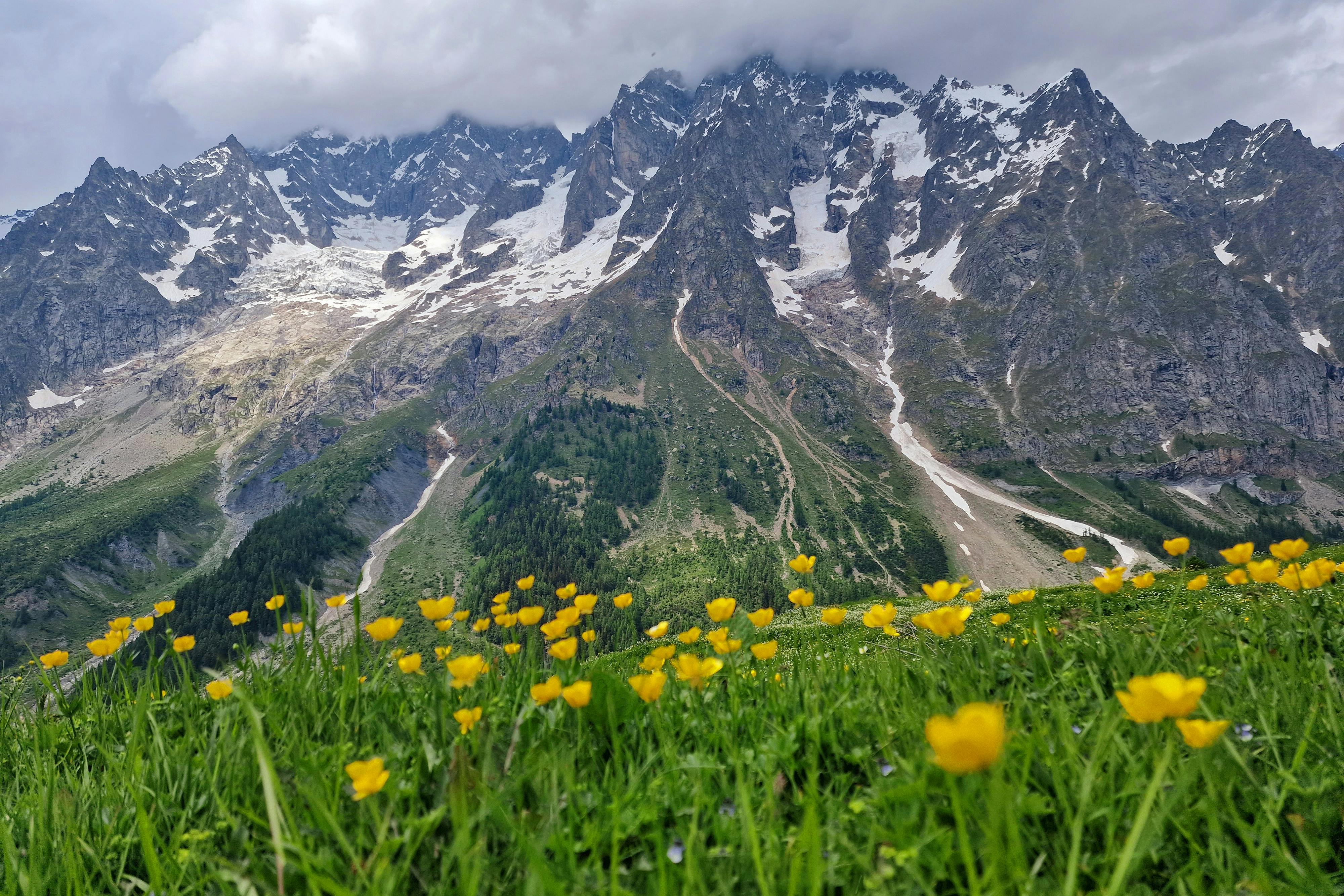 media_BF5UL4LSMWG9B9UW