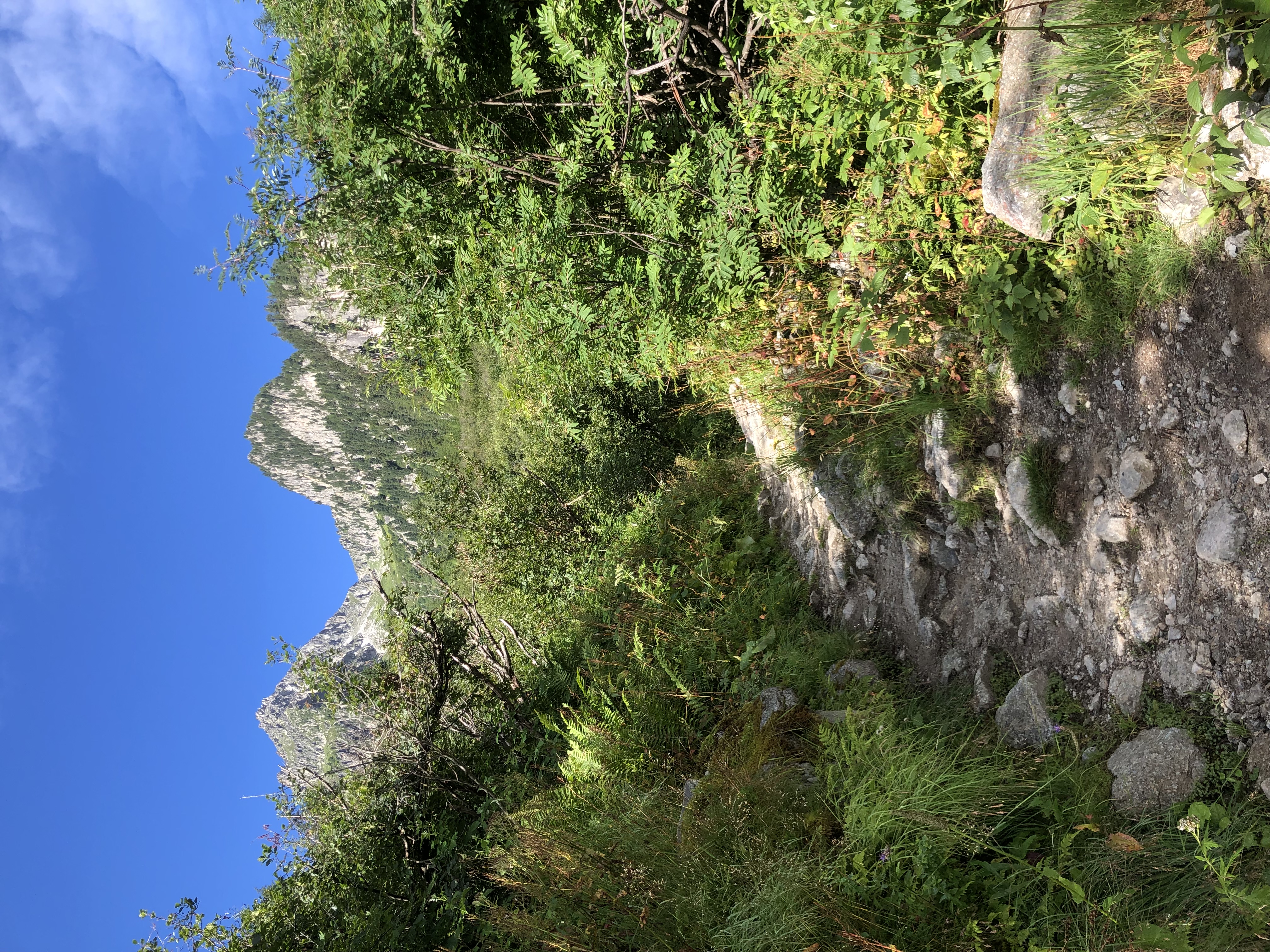 media_CUZLC4888B4NJPET