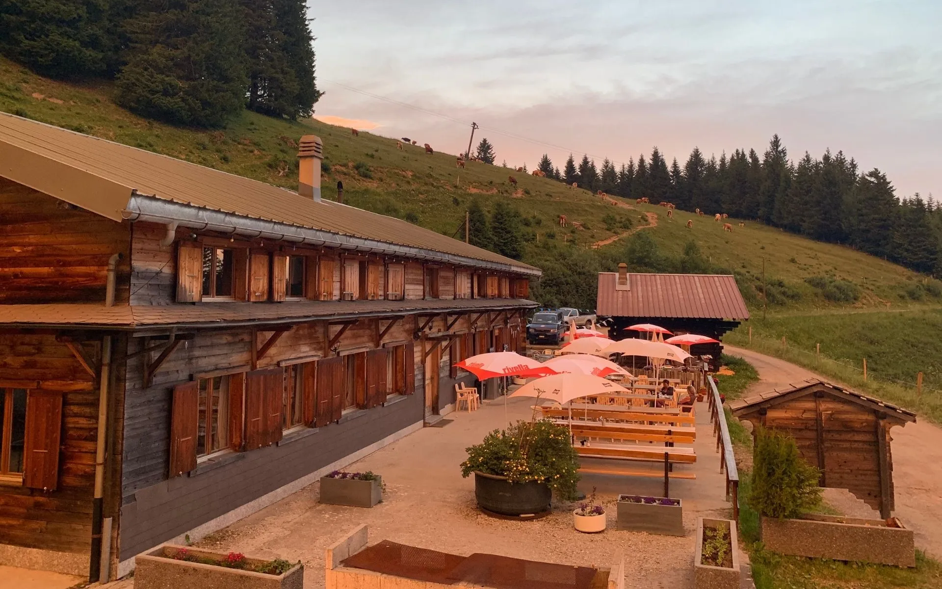 media_EV6FV5U54CA3H72J