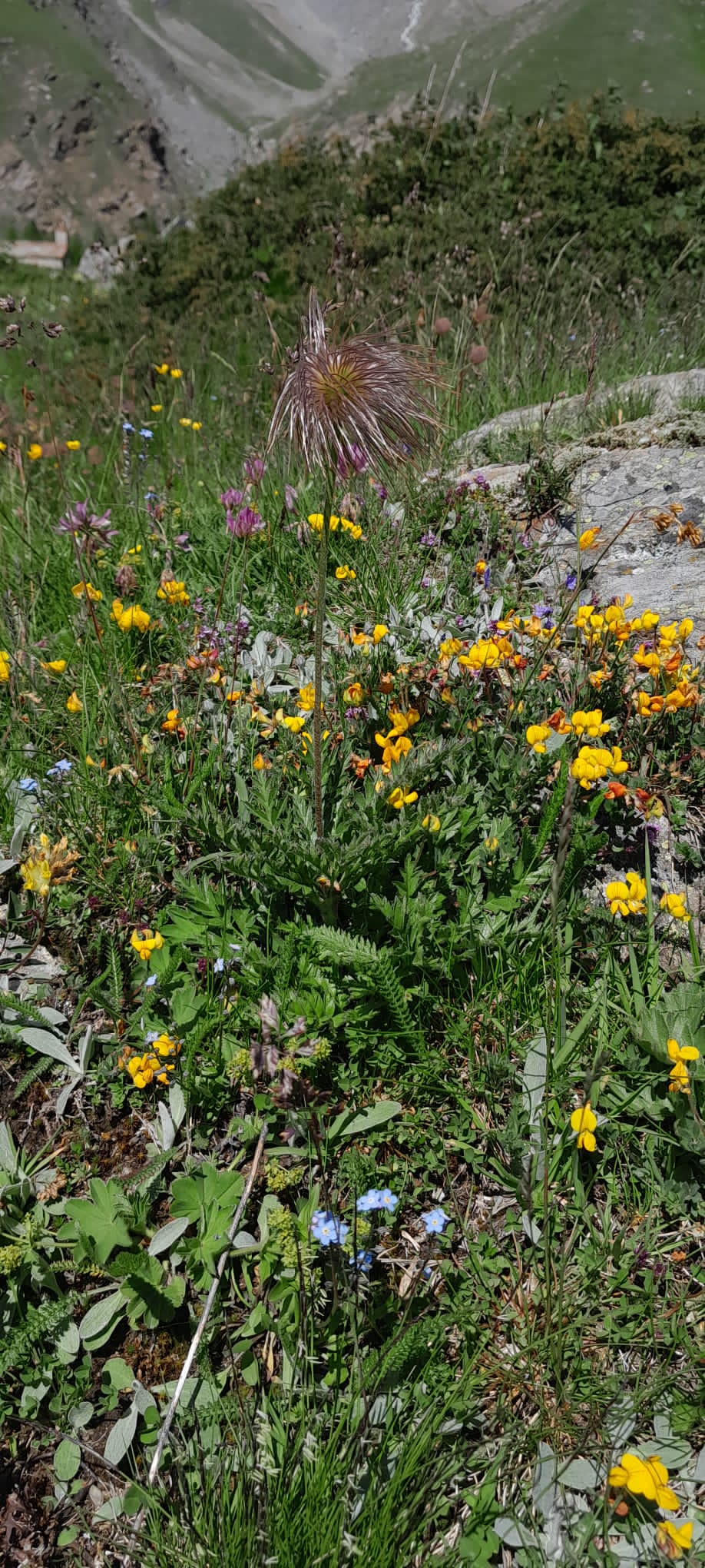 media_FMYLKR9HE5TTWVXE