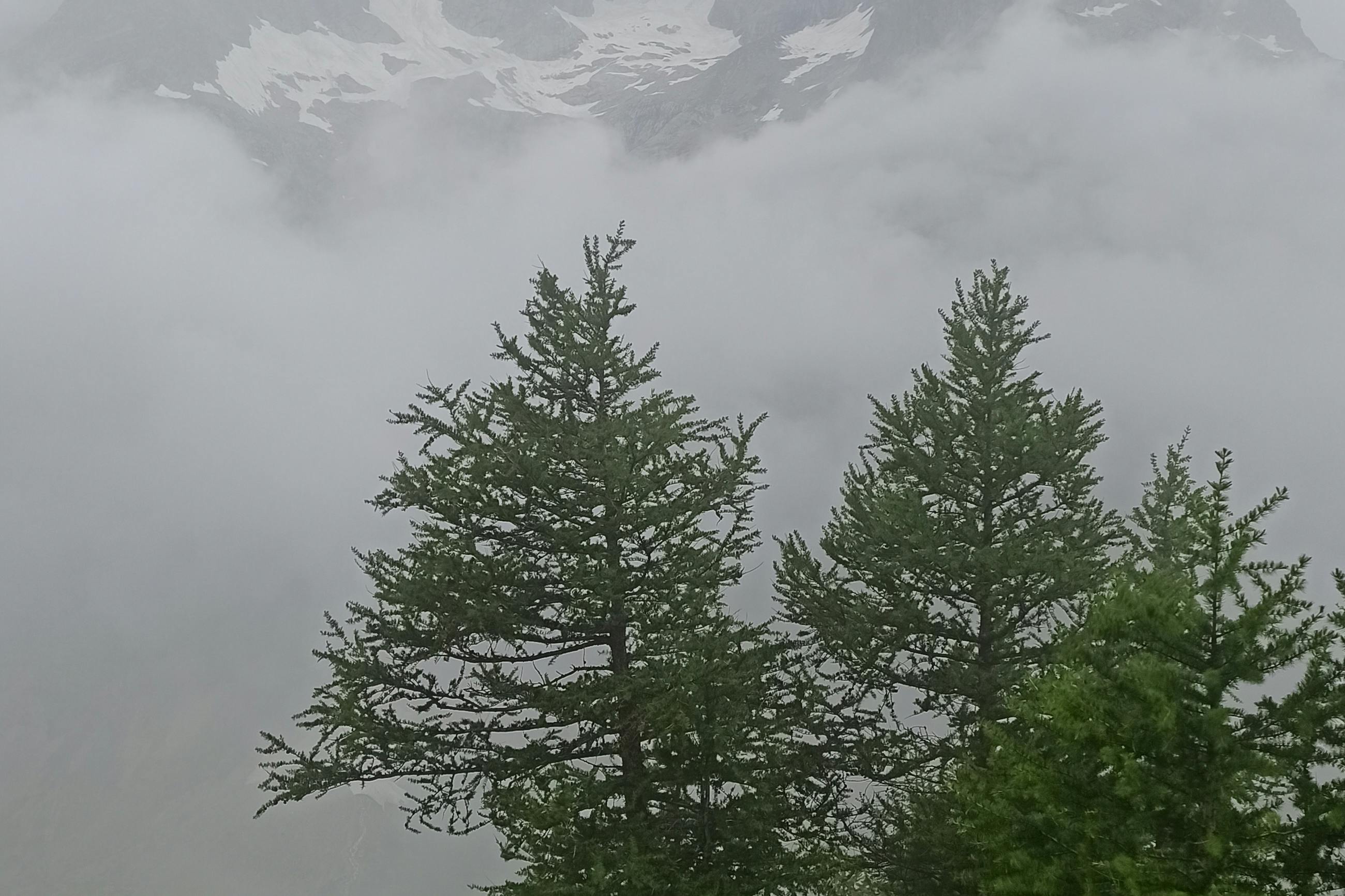 media_G3BZ4CPVA7TM2T93