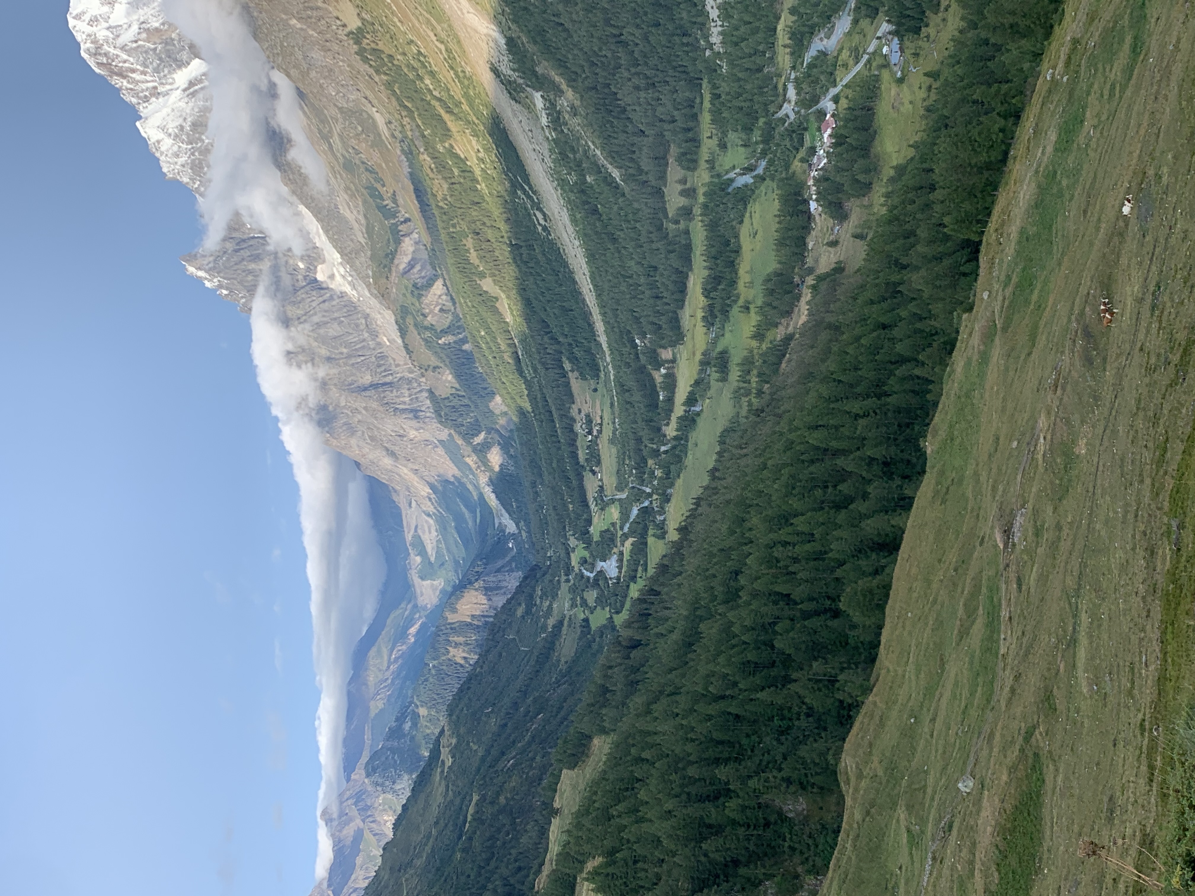 media_HH8VSUCXHQEVGRKH