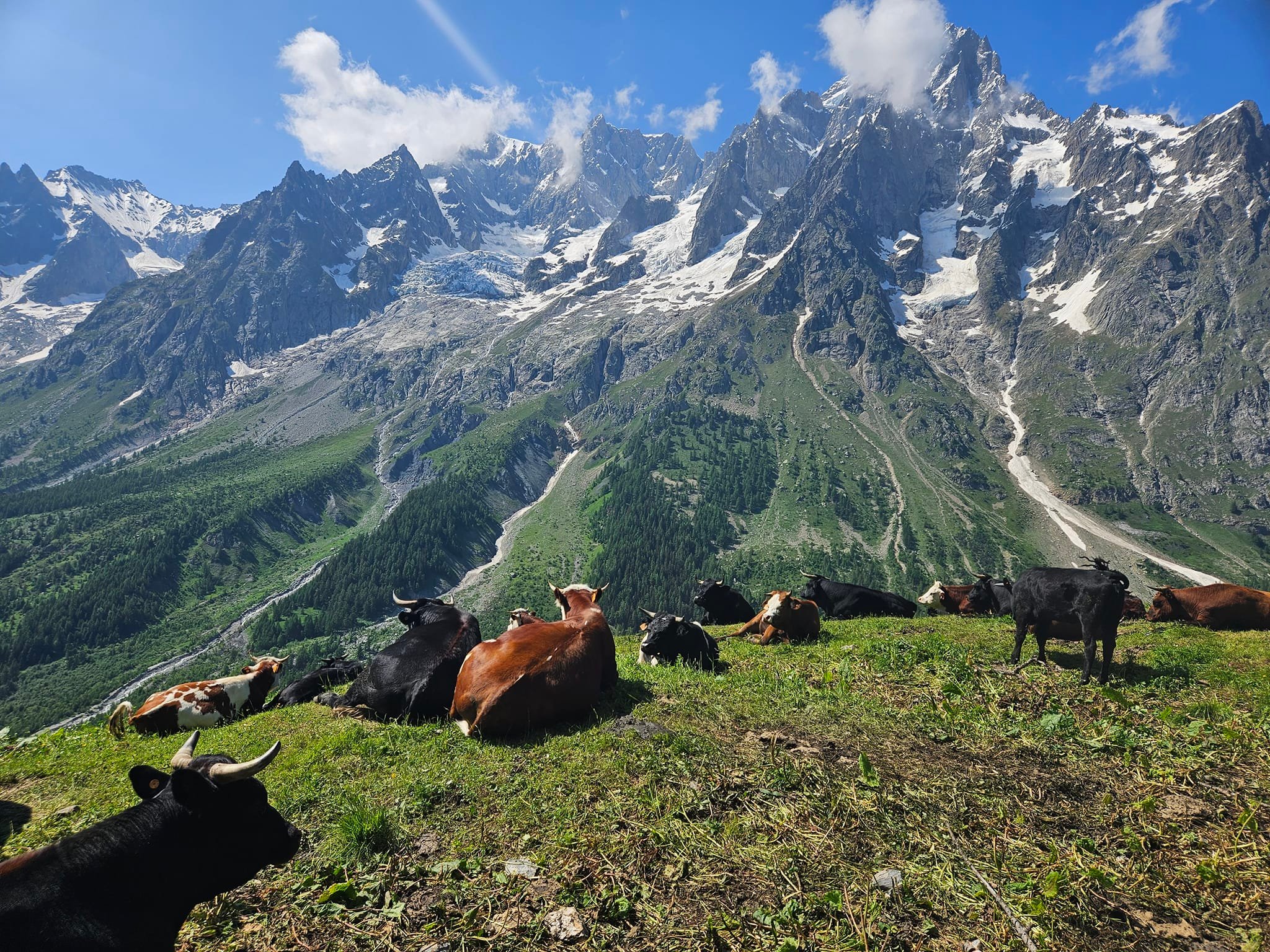 media_HXXEU8X5PJTJSGBF