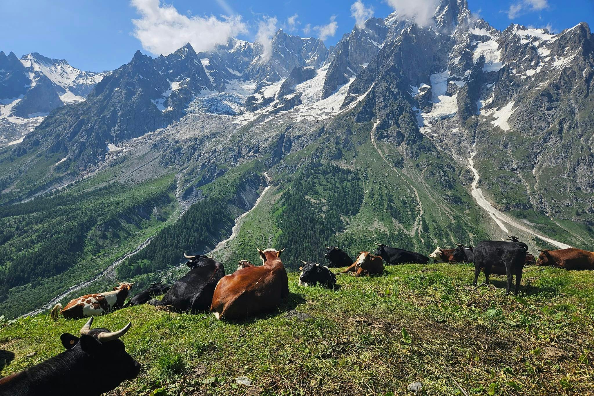 media_HXXEU8X5PJTJSGBF