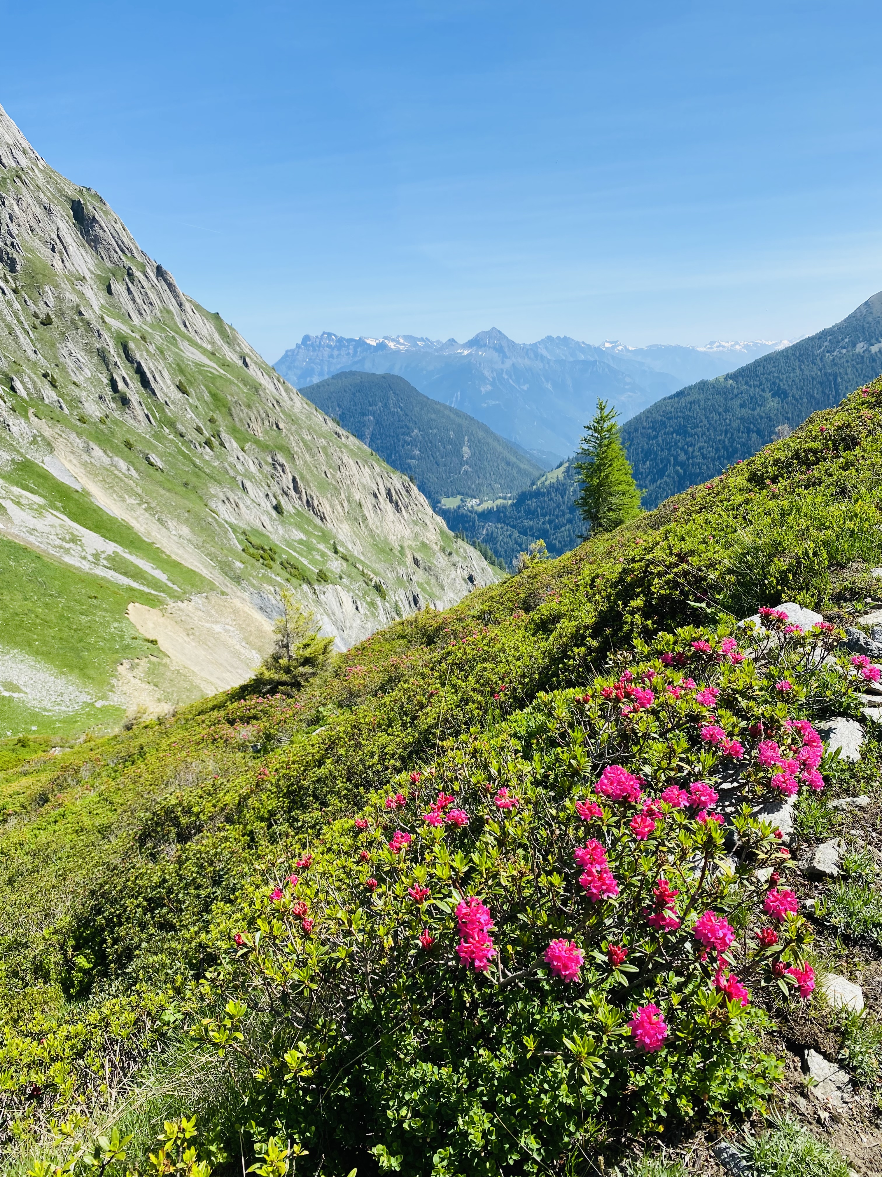 media_K3VP34ZXYSETKNKJ