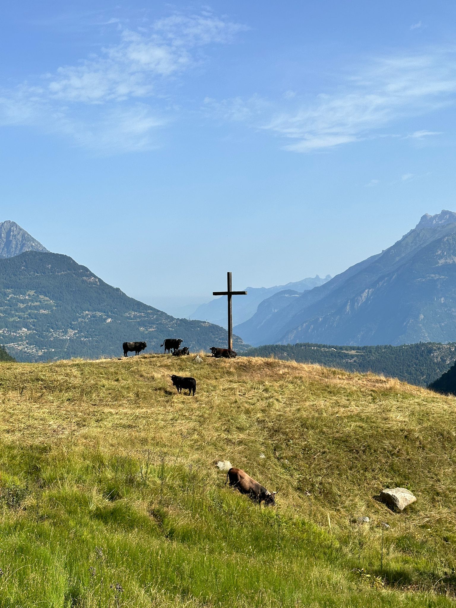 media_KWKGKDV2GAVJ4SHS