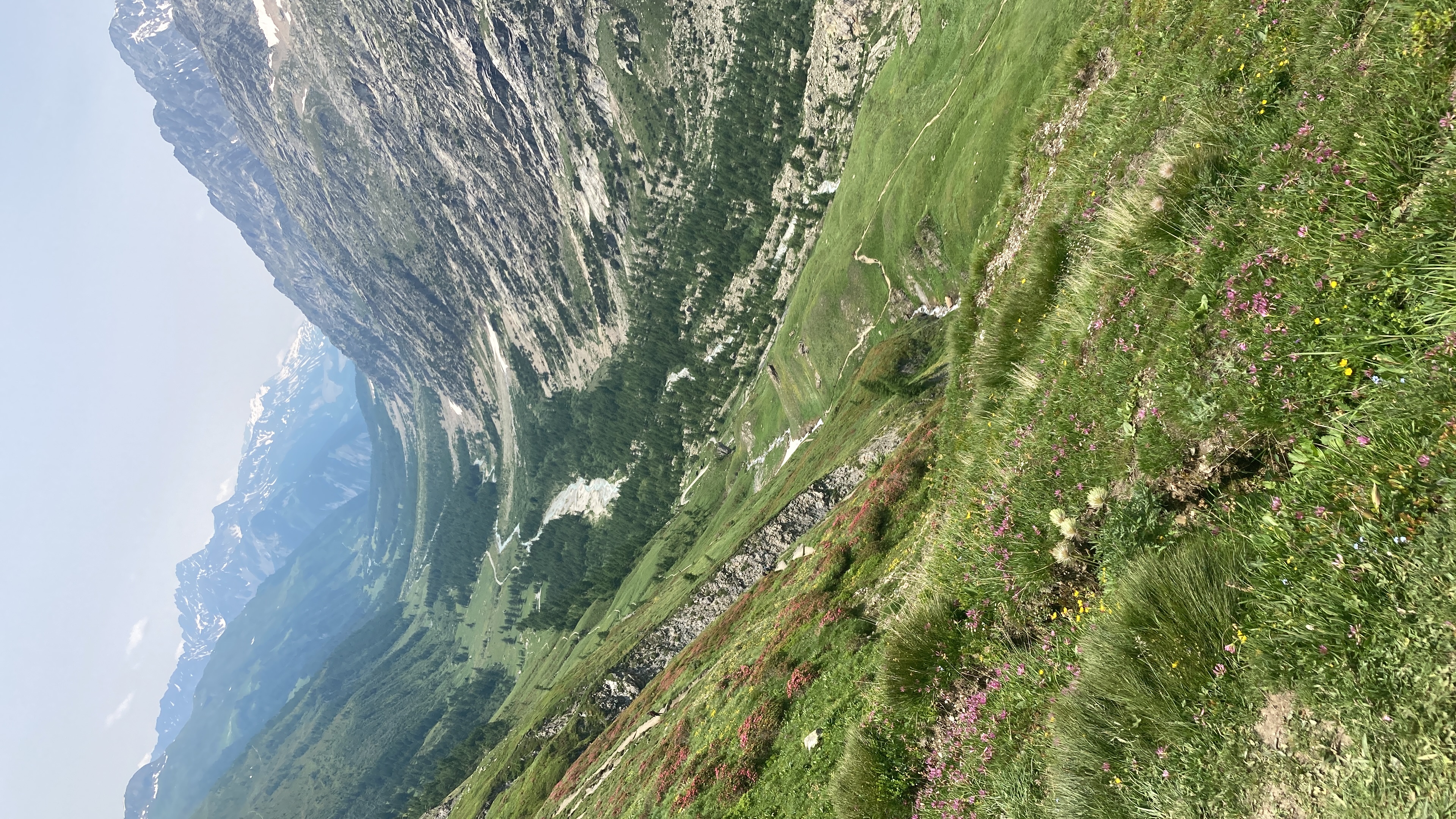 media_M5TPCSQ7HSDC2SEM