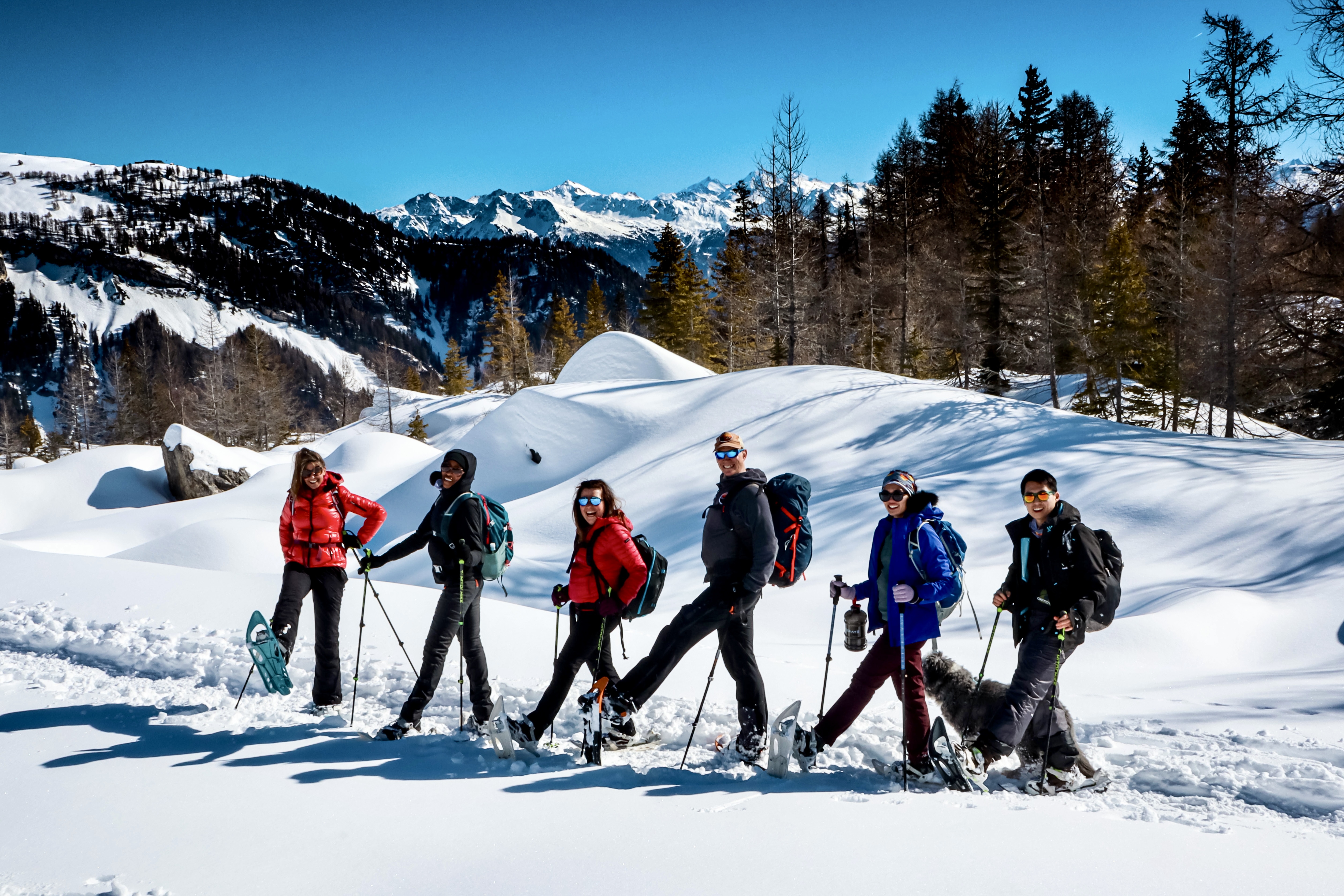 St Bernard's Beginner Snowshoe