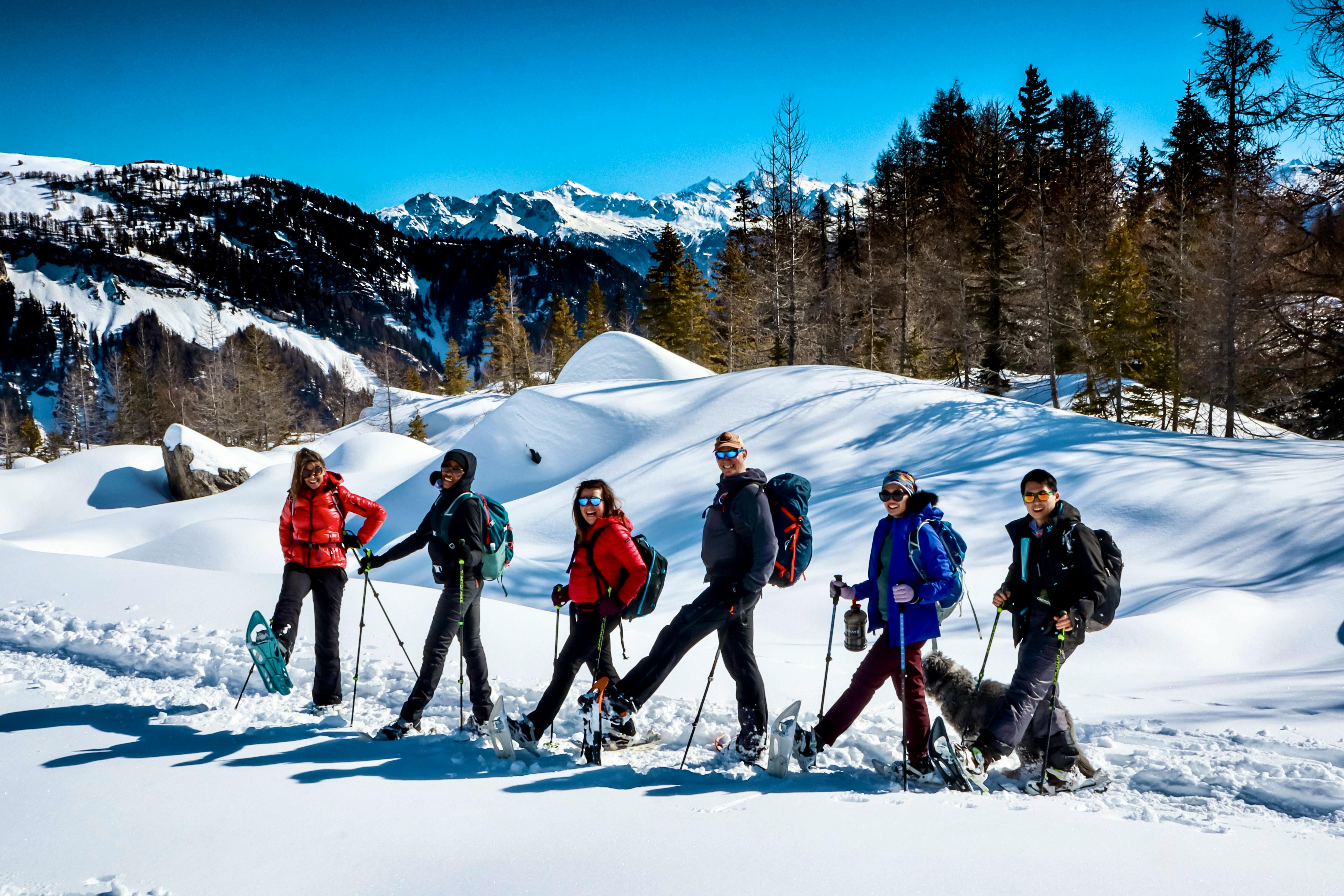 St Bernard's Beginner Snowshoe