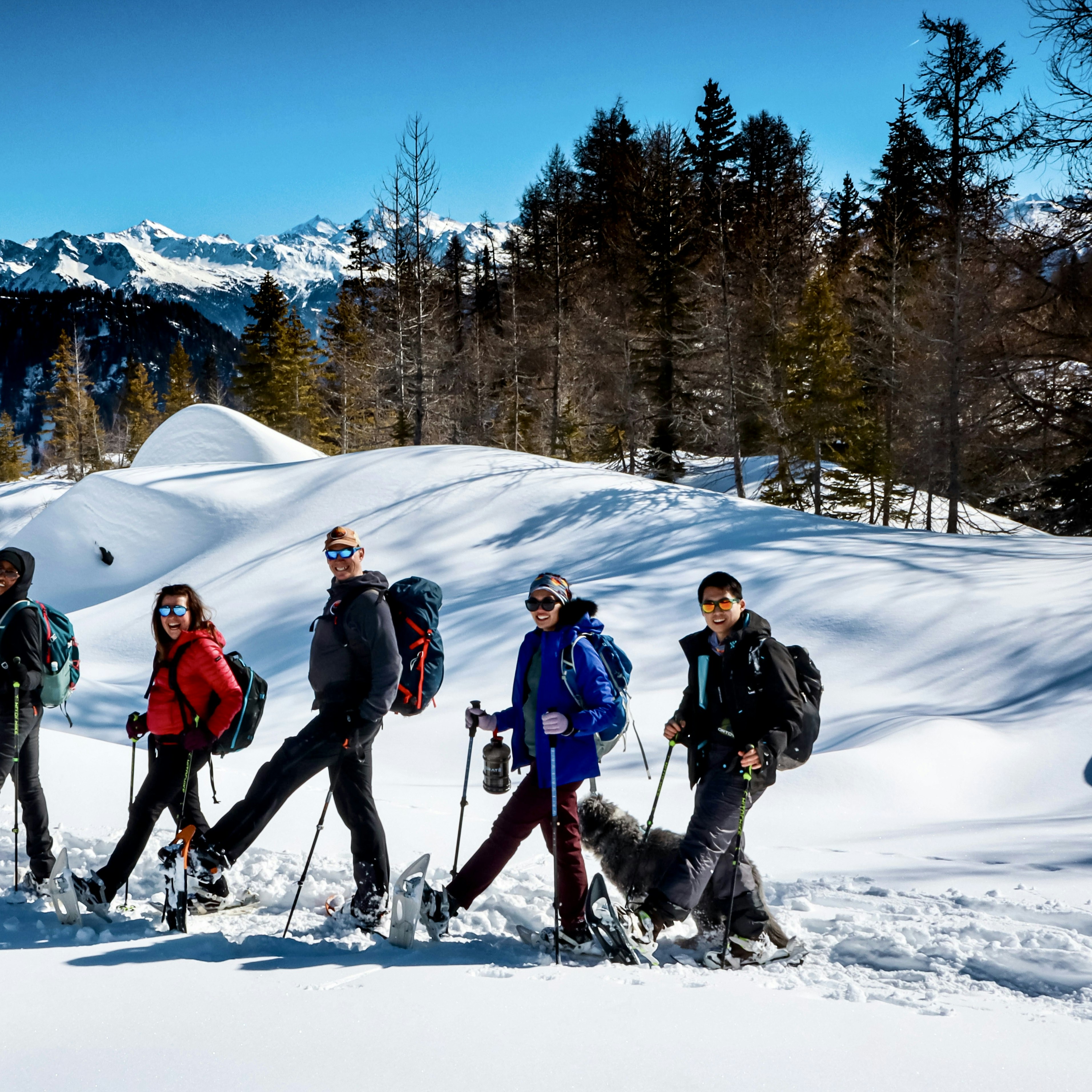 St Bernard's Beginner Snowshoe