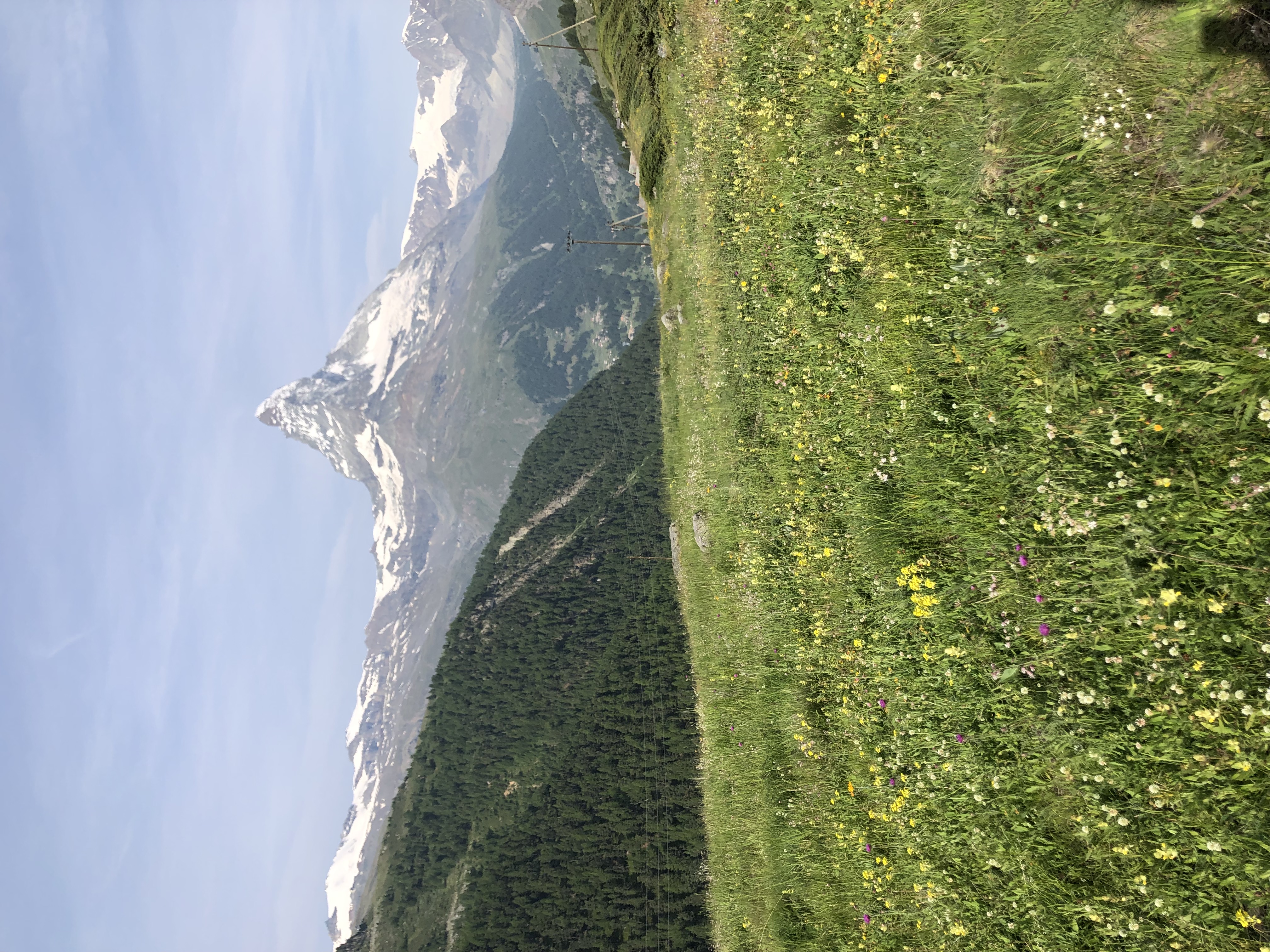 media_PKTDXPLBTB4LAYEU