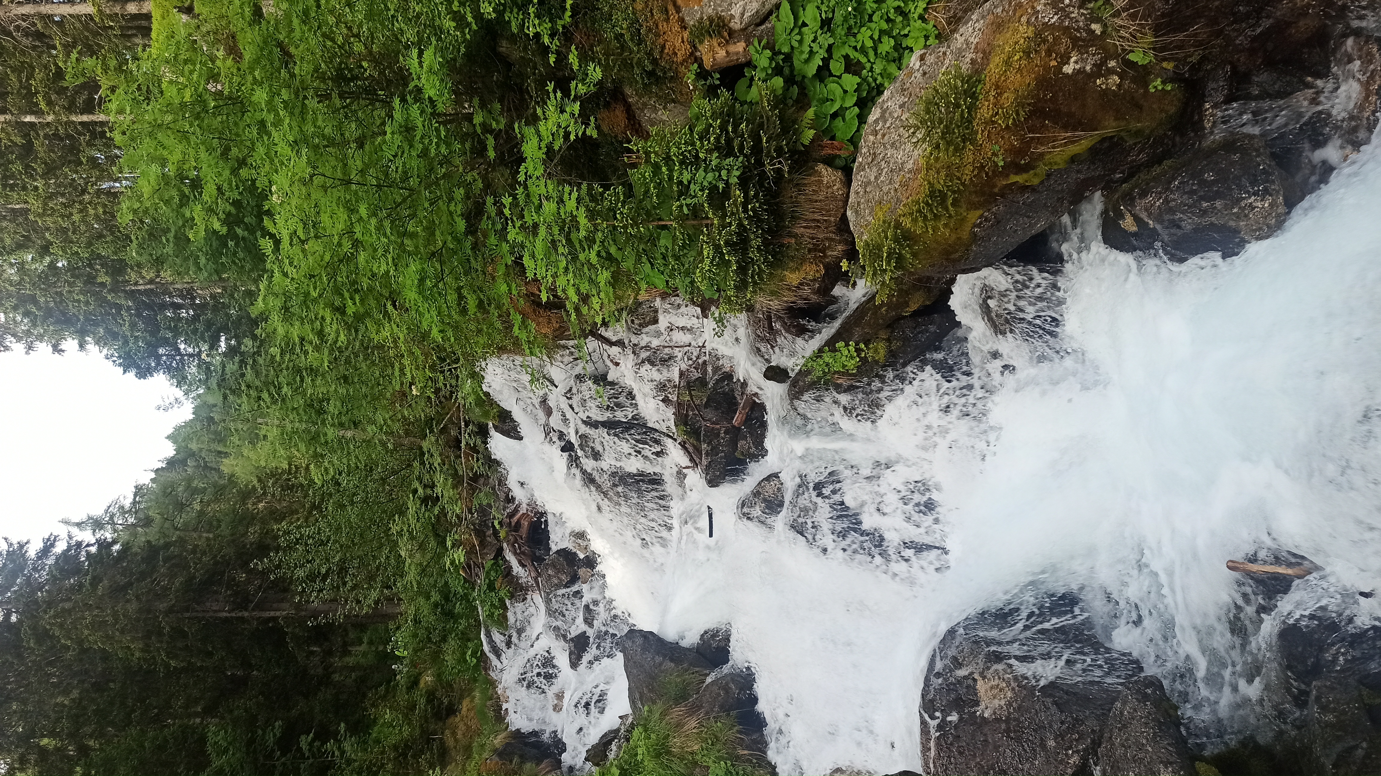 media_Q3NFMYLZGLA6XCCA