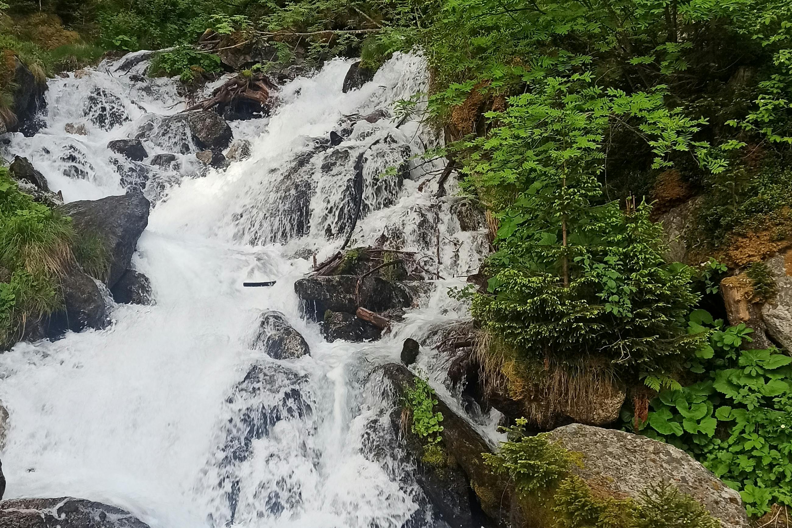 media_Q3NFMYLZGLA6XCCA