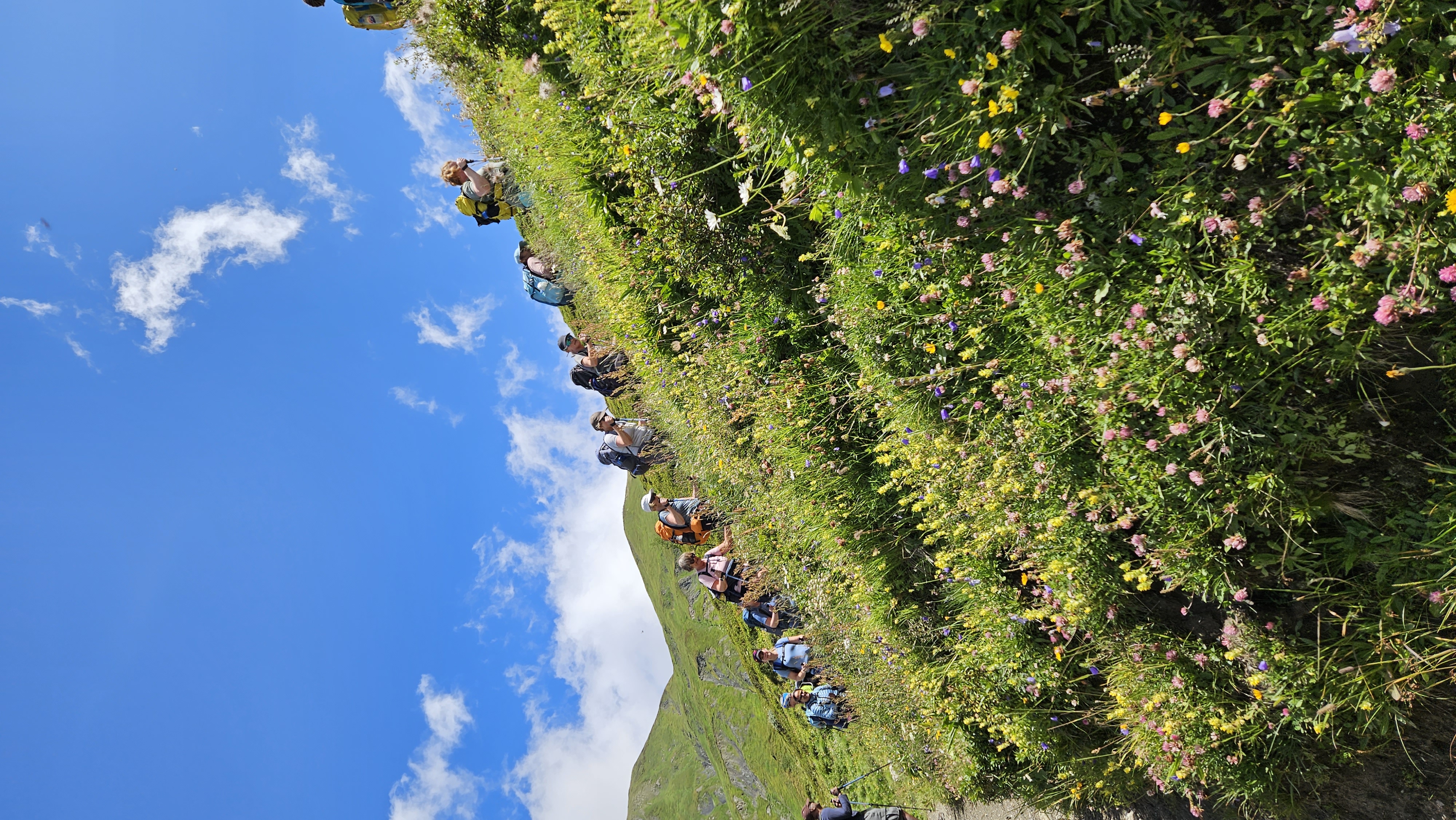 media_Q6MSS63VJBZNLHPV