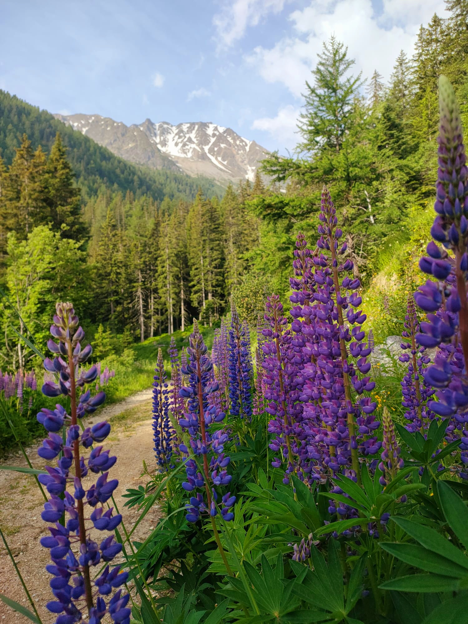 media_SDQNVWYY2K53MF2R