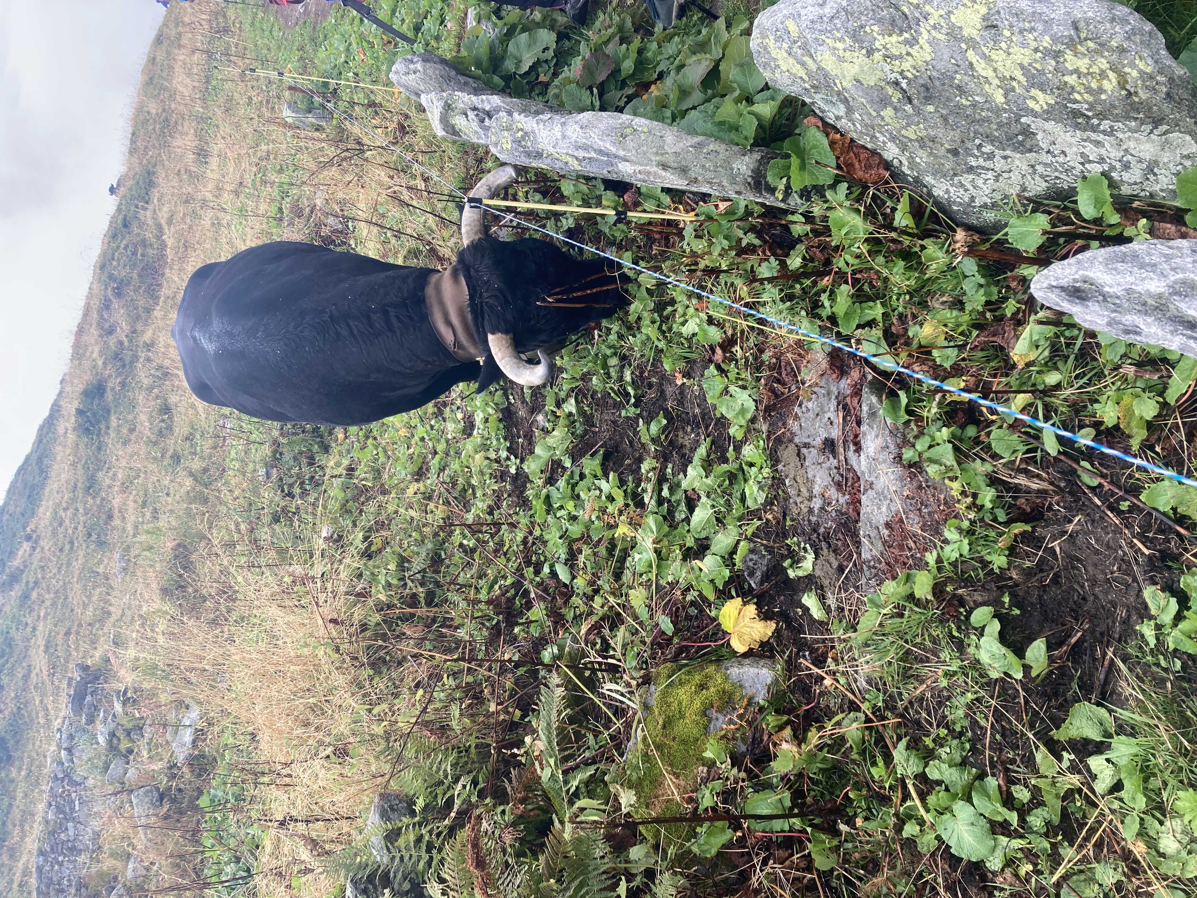 media_T4C9B3QQWTZN6442