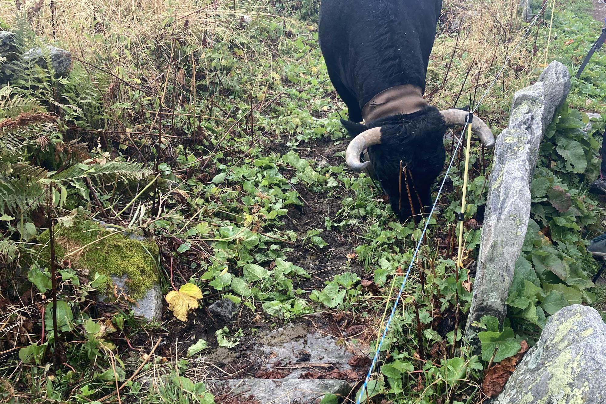 media_T4C9B3QQWTZN6442