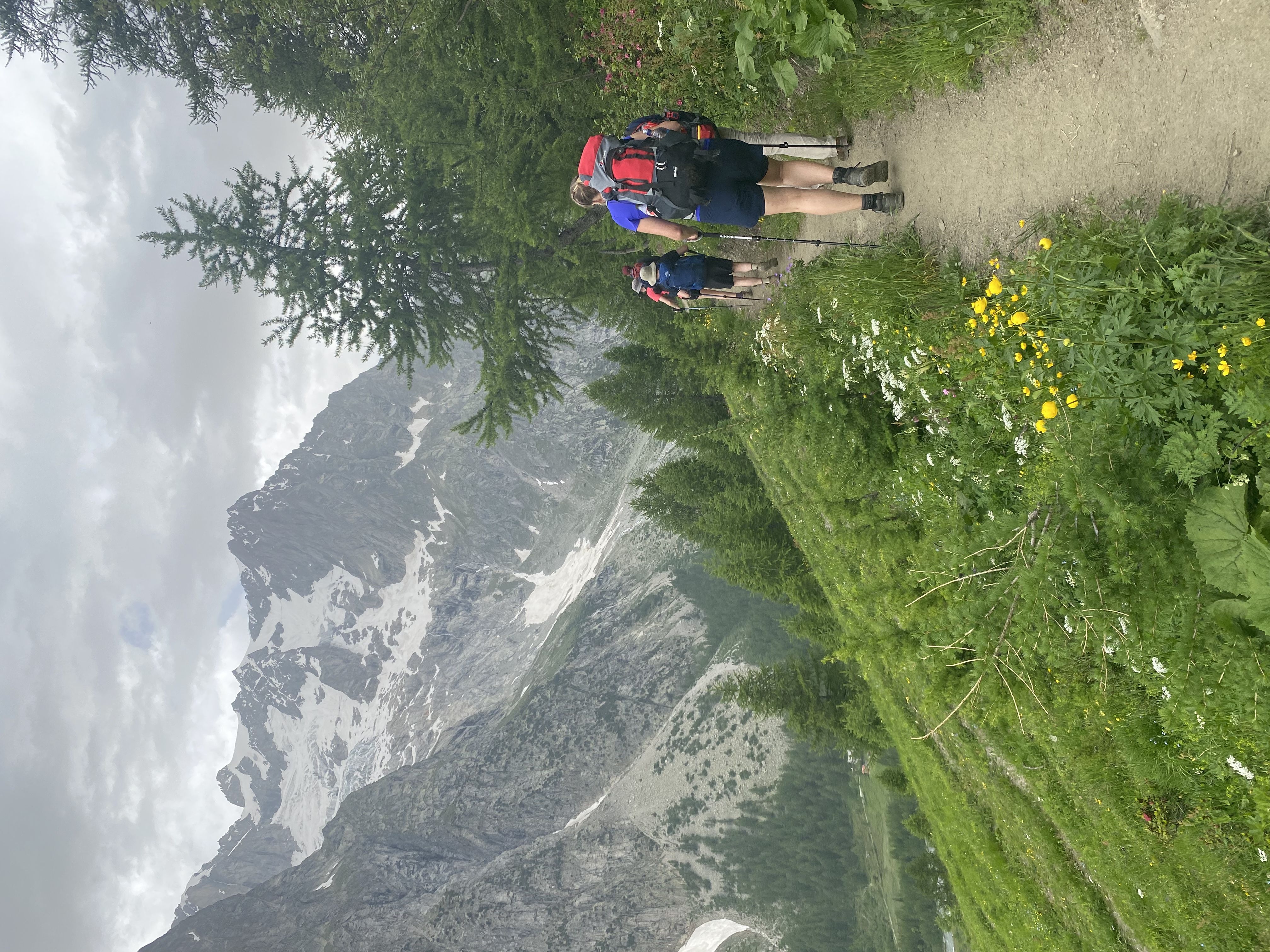 media_T4DPQWHS76G8JHDN