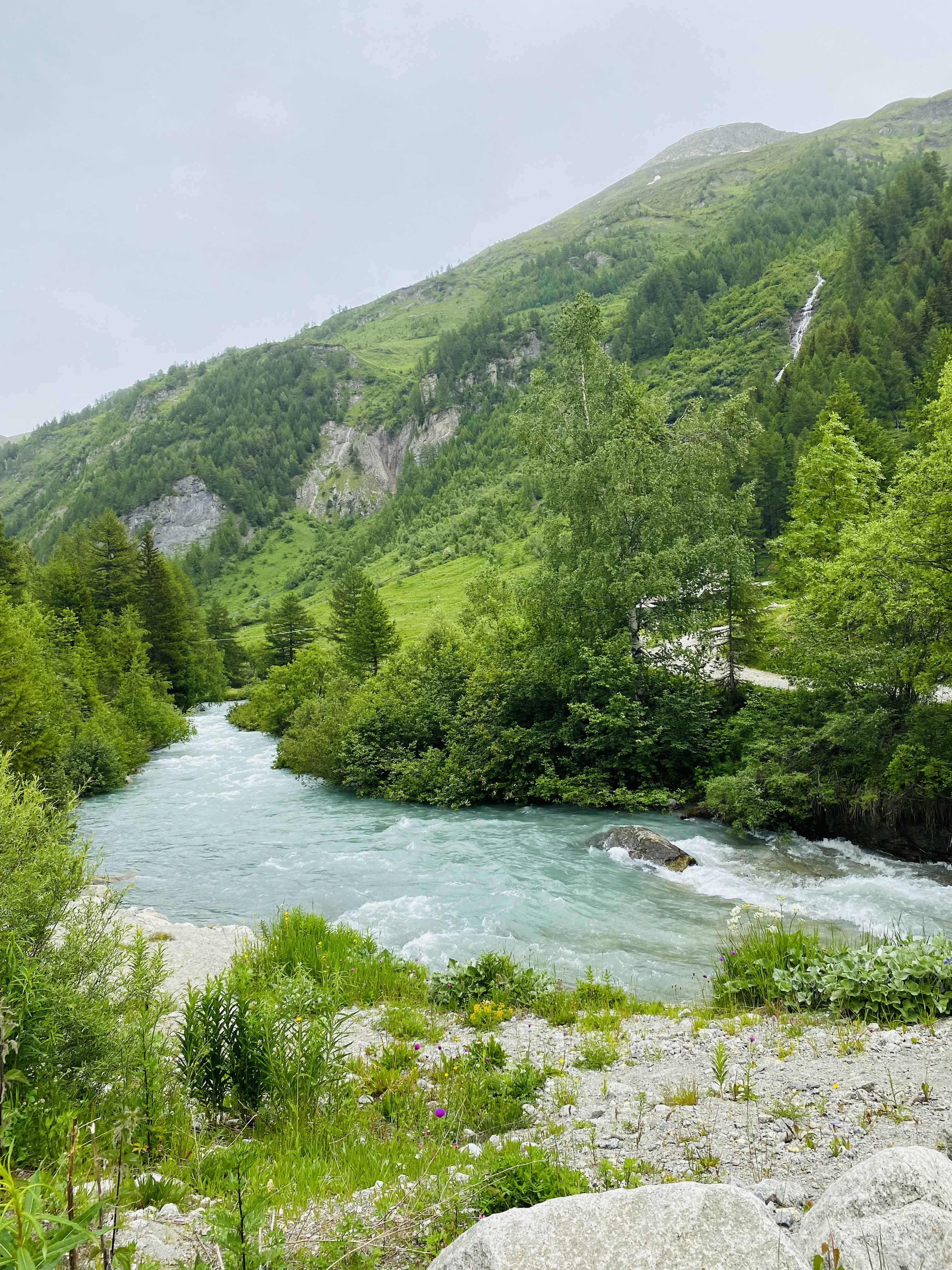 media_TG45C7DWB9CCXMU2