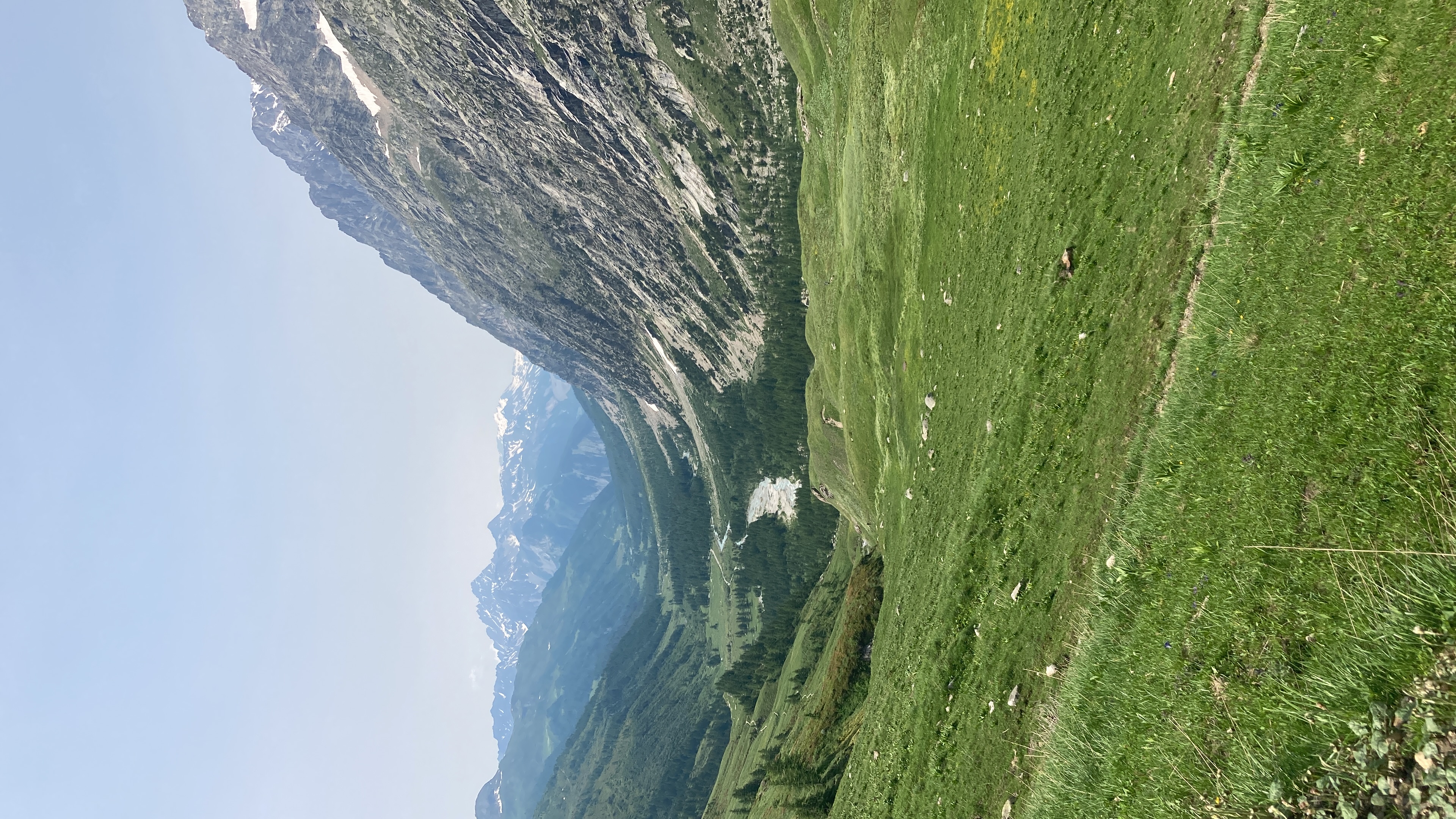 media_TKJWY5N8S5GZ6HFM