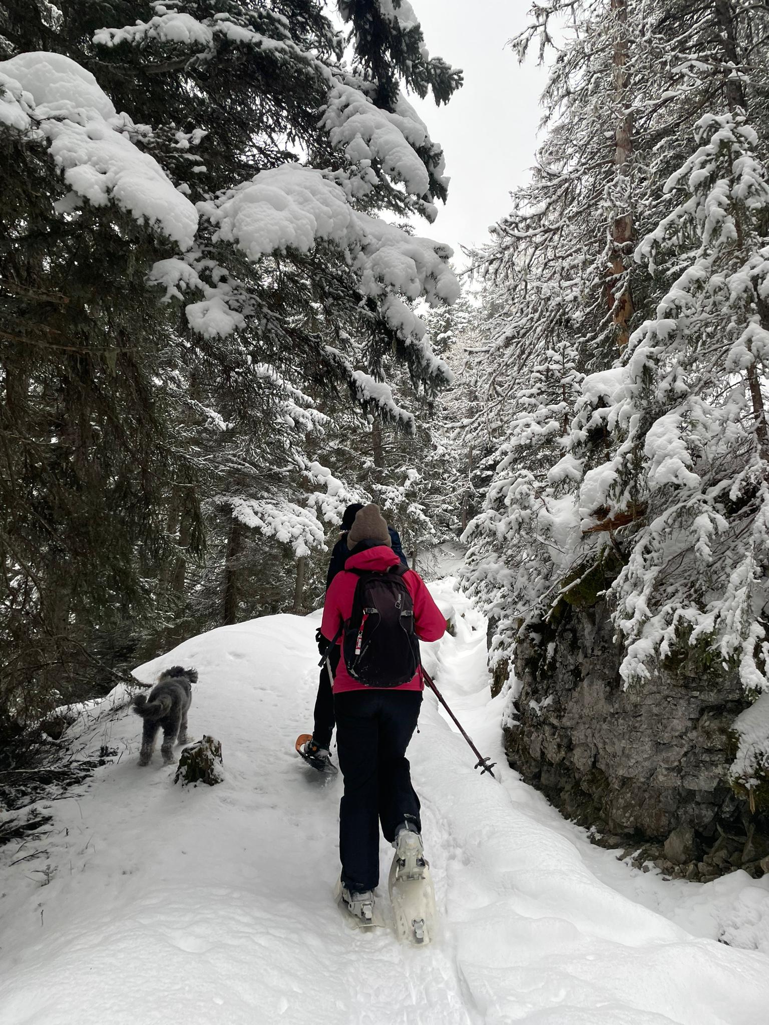 media_TSYNXSU6SZQPTFEG