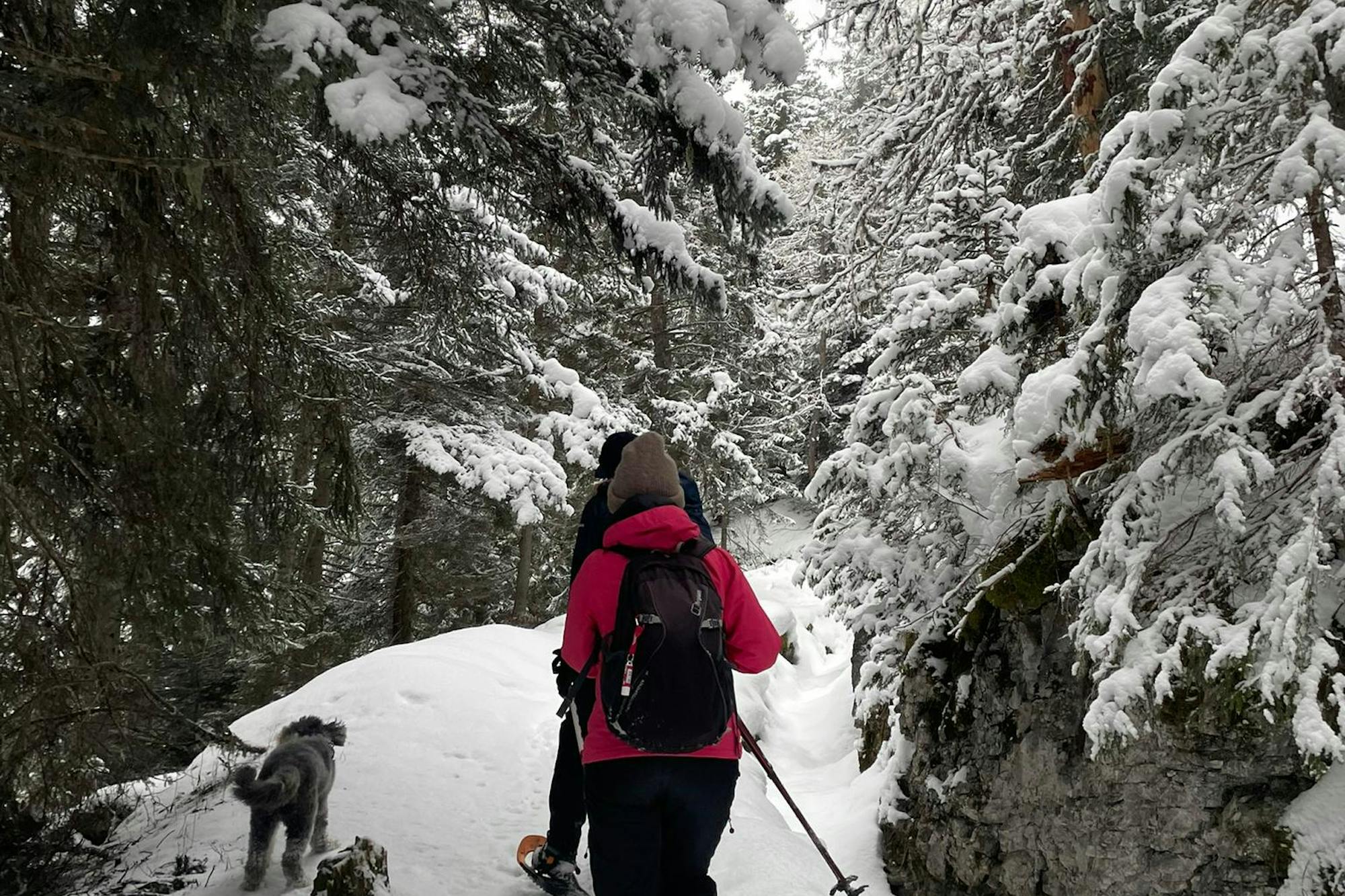 media_TSYNXSU6SZQPTFEG