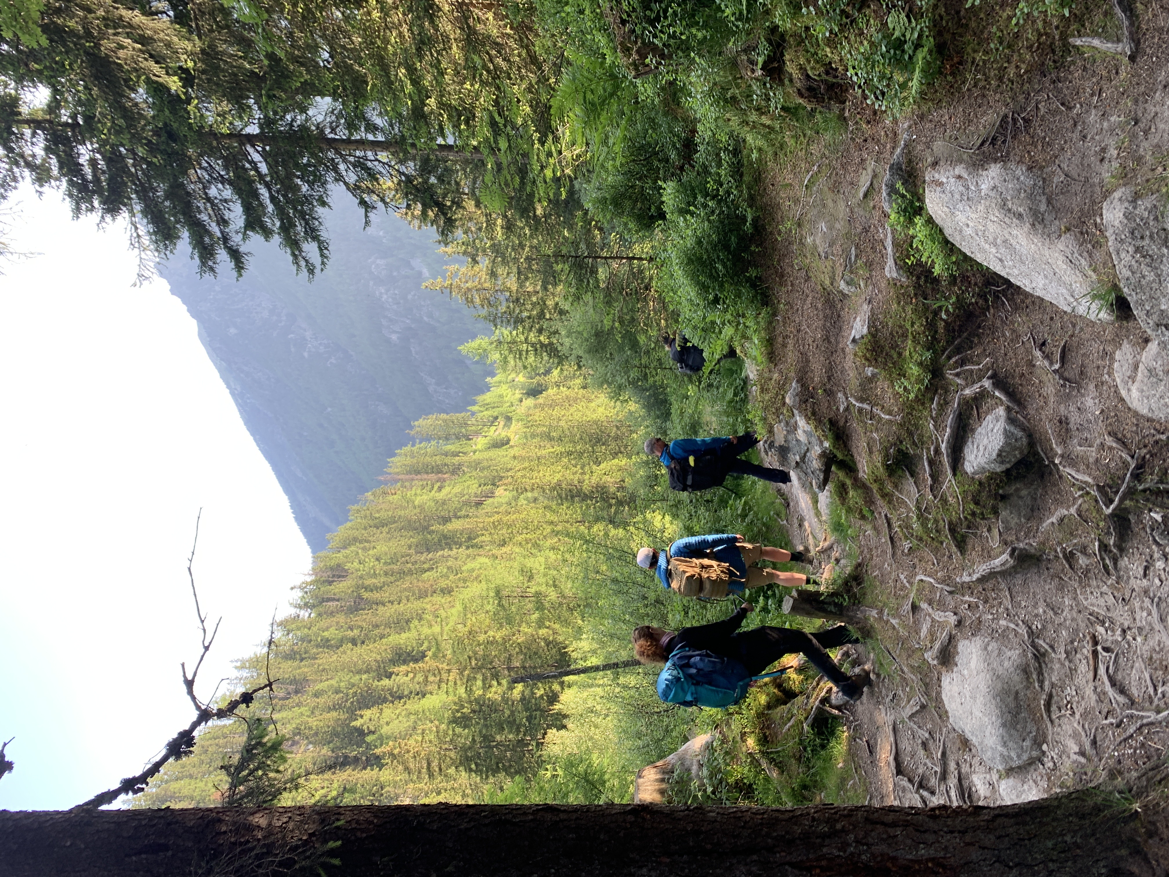 media_UAQWVX2KZU2GYGRC