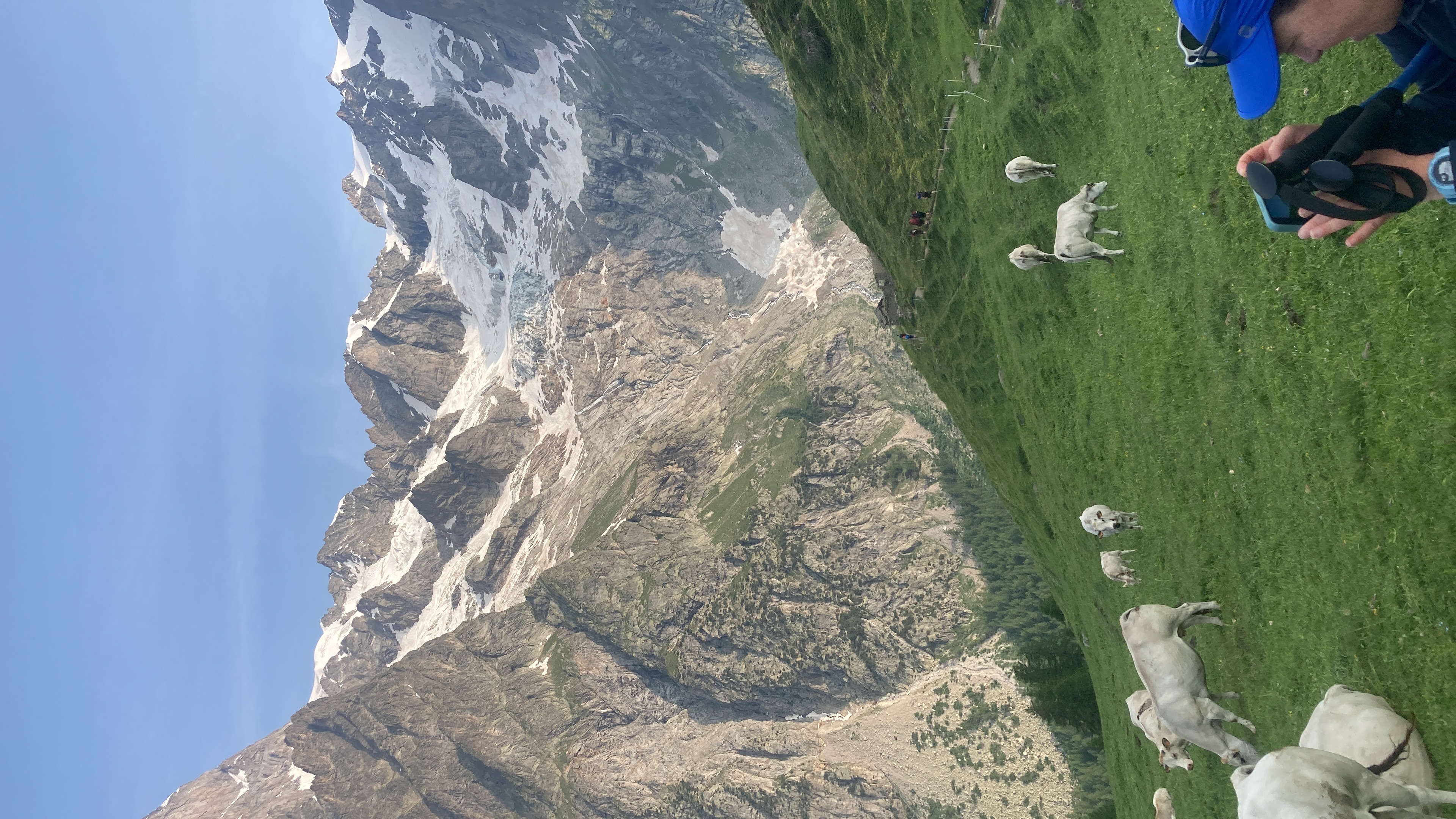 media_V5MYQP2T9BU8JV4G