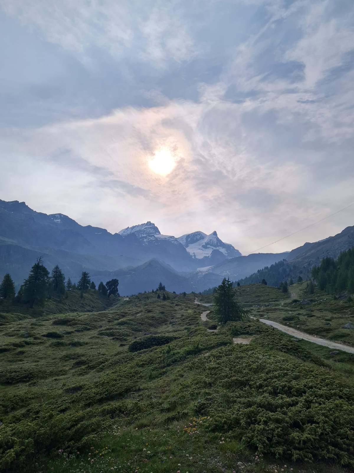 media_VVQDJNJ3VPGT6EMS