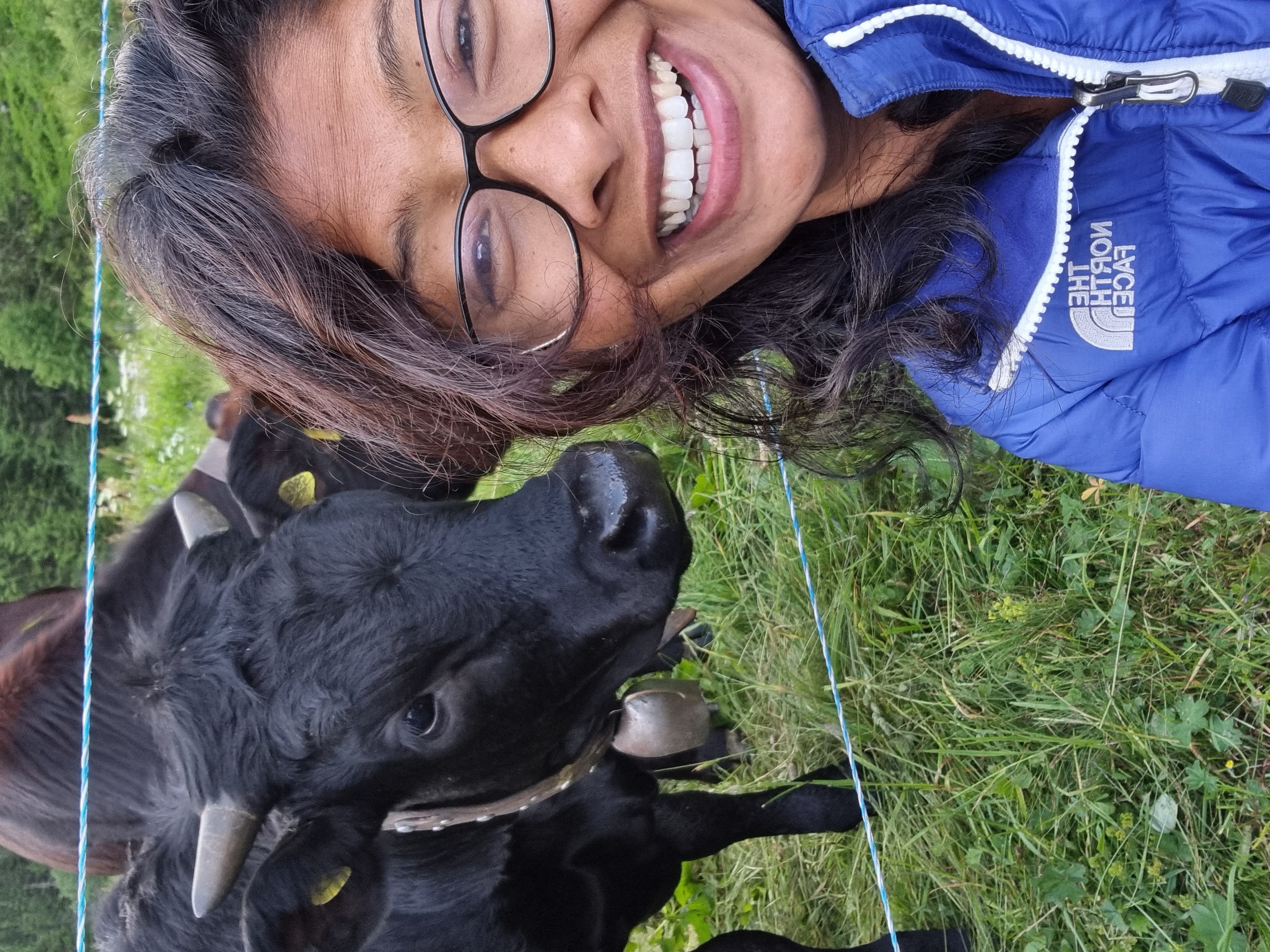 media_VWWFGDYK4UF8DY6H