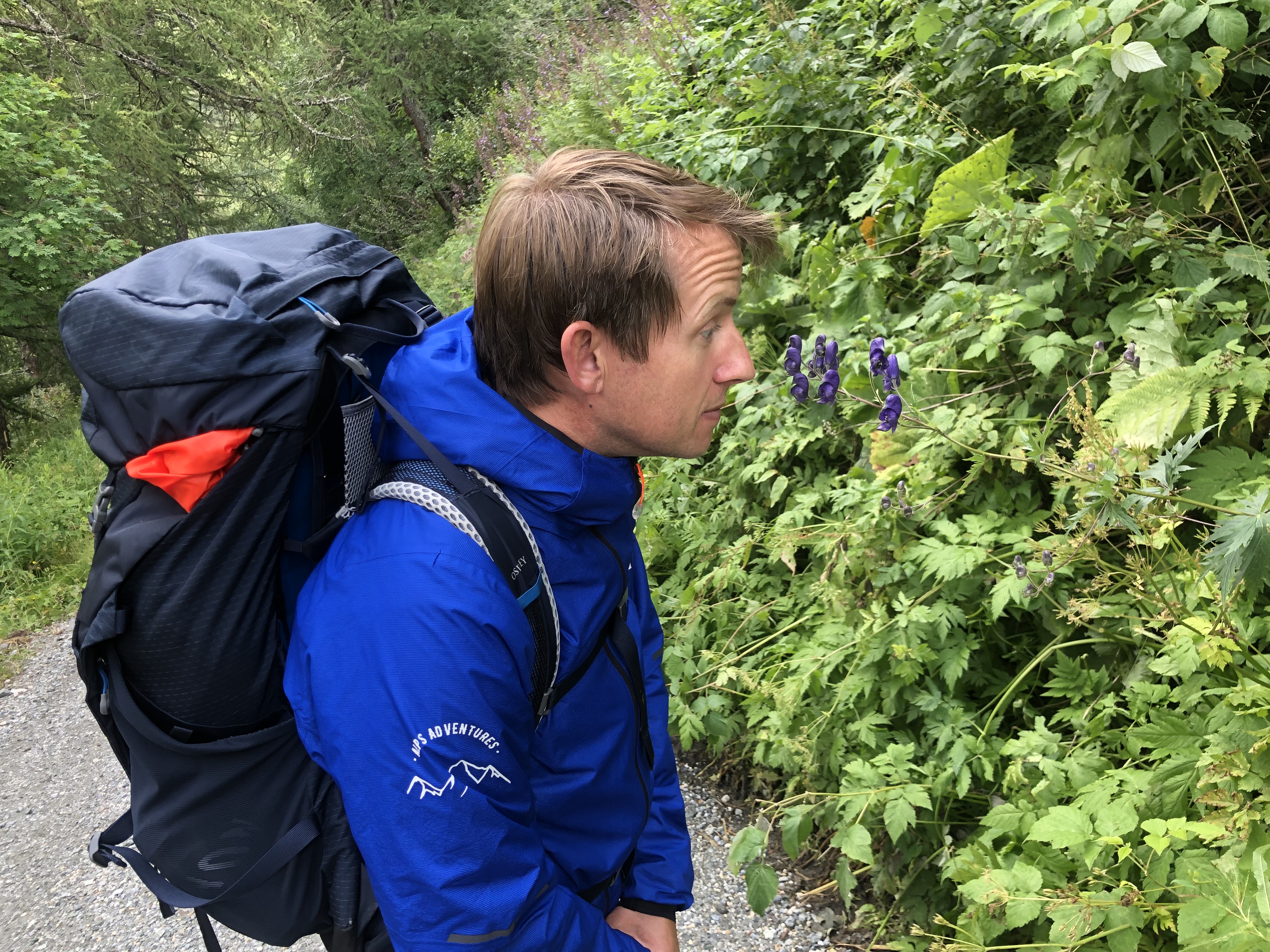 media_WLSNAQVA3LX5HXLK