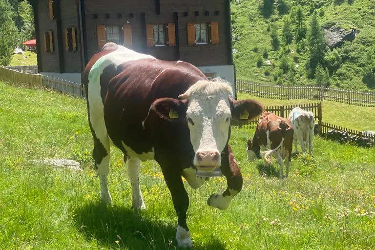 media_X7UX6DCNKK49HQ8F