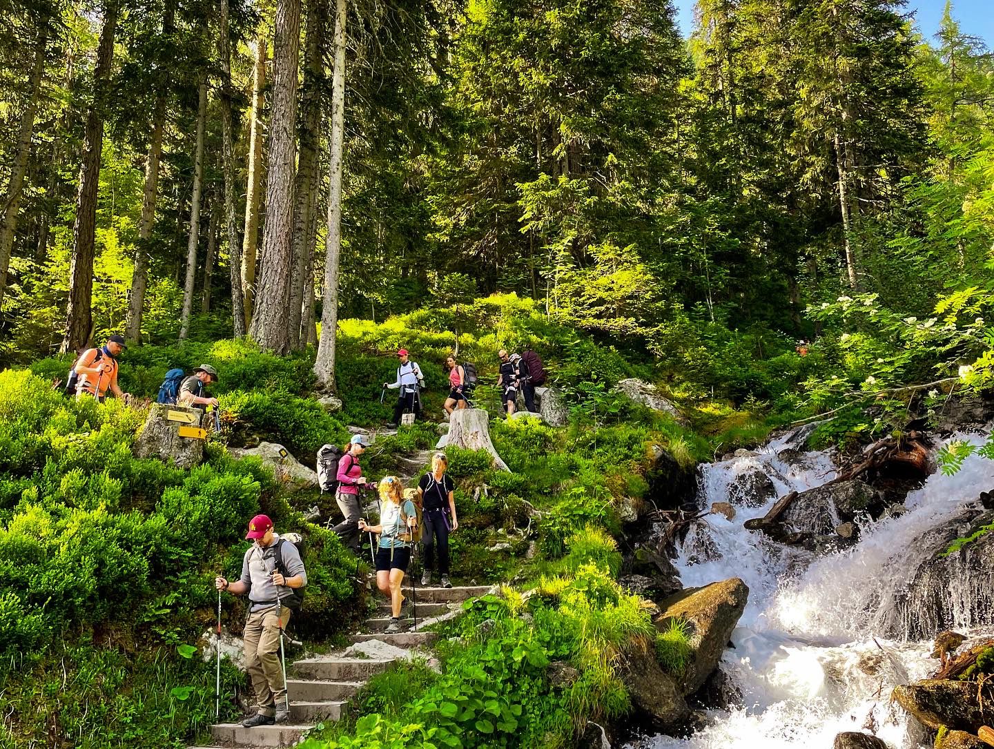 media_XAXA8DNDEKEP4AFH