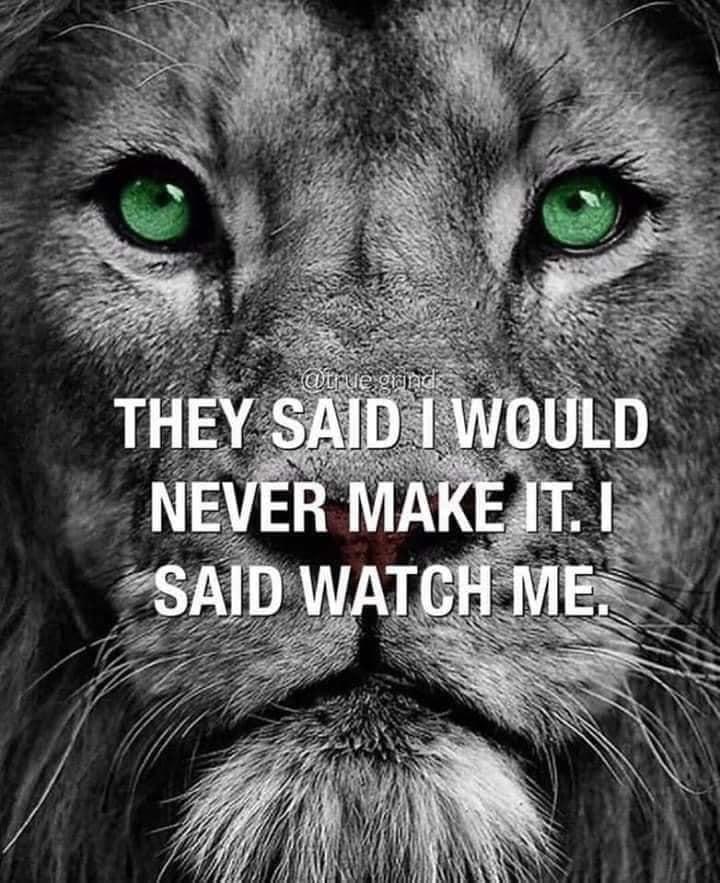 media_XDXR5929GRH6YK7B