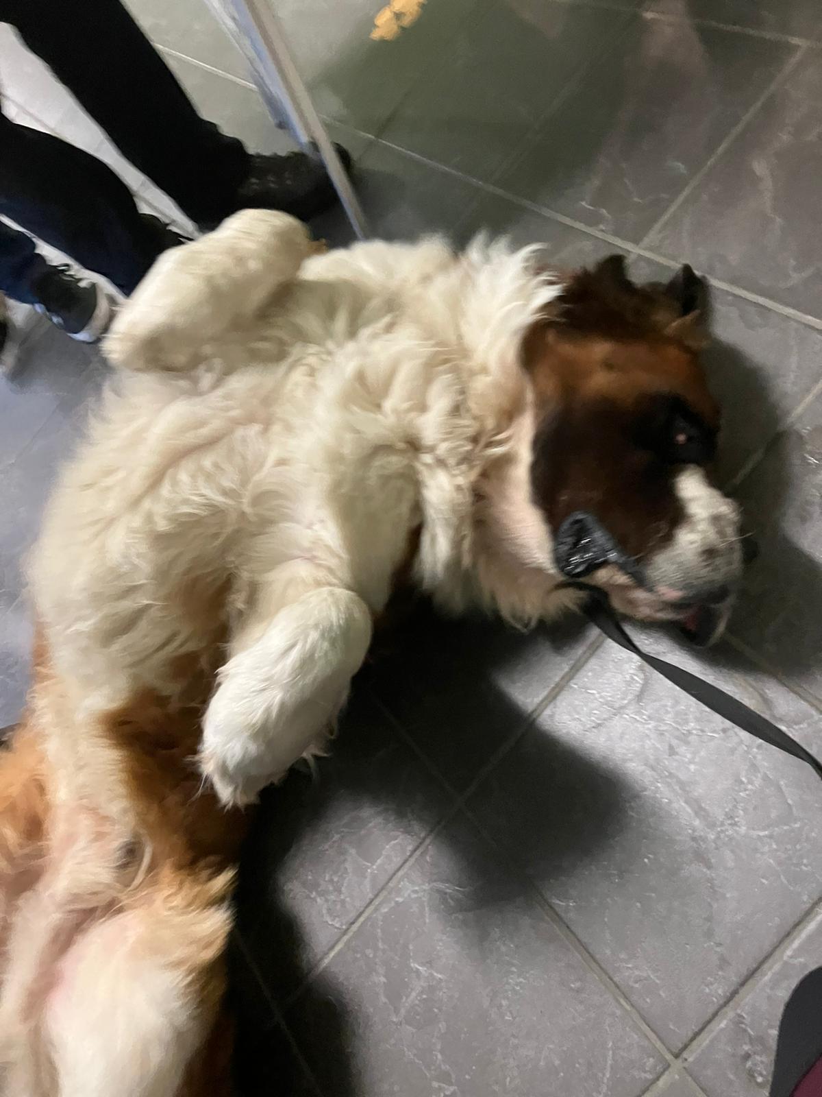 media_XLHVUFMGBD3HEZLT